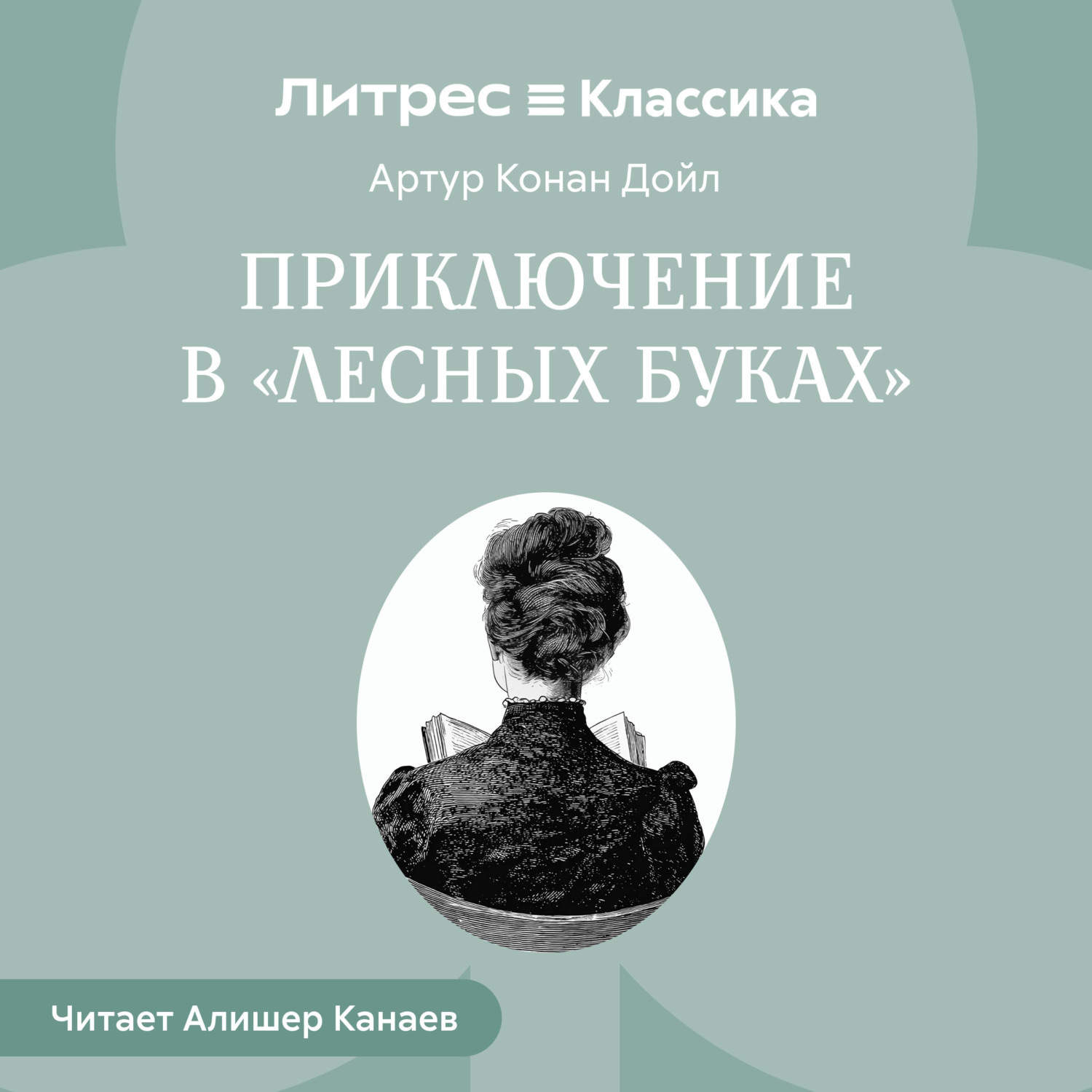 Обложка книги «Приключение в «Лесных Буках»»