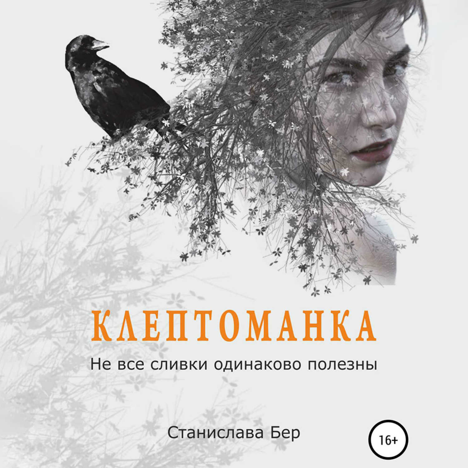 Обложка книги «Клептоманка. Не все сливки одинаково полезны»