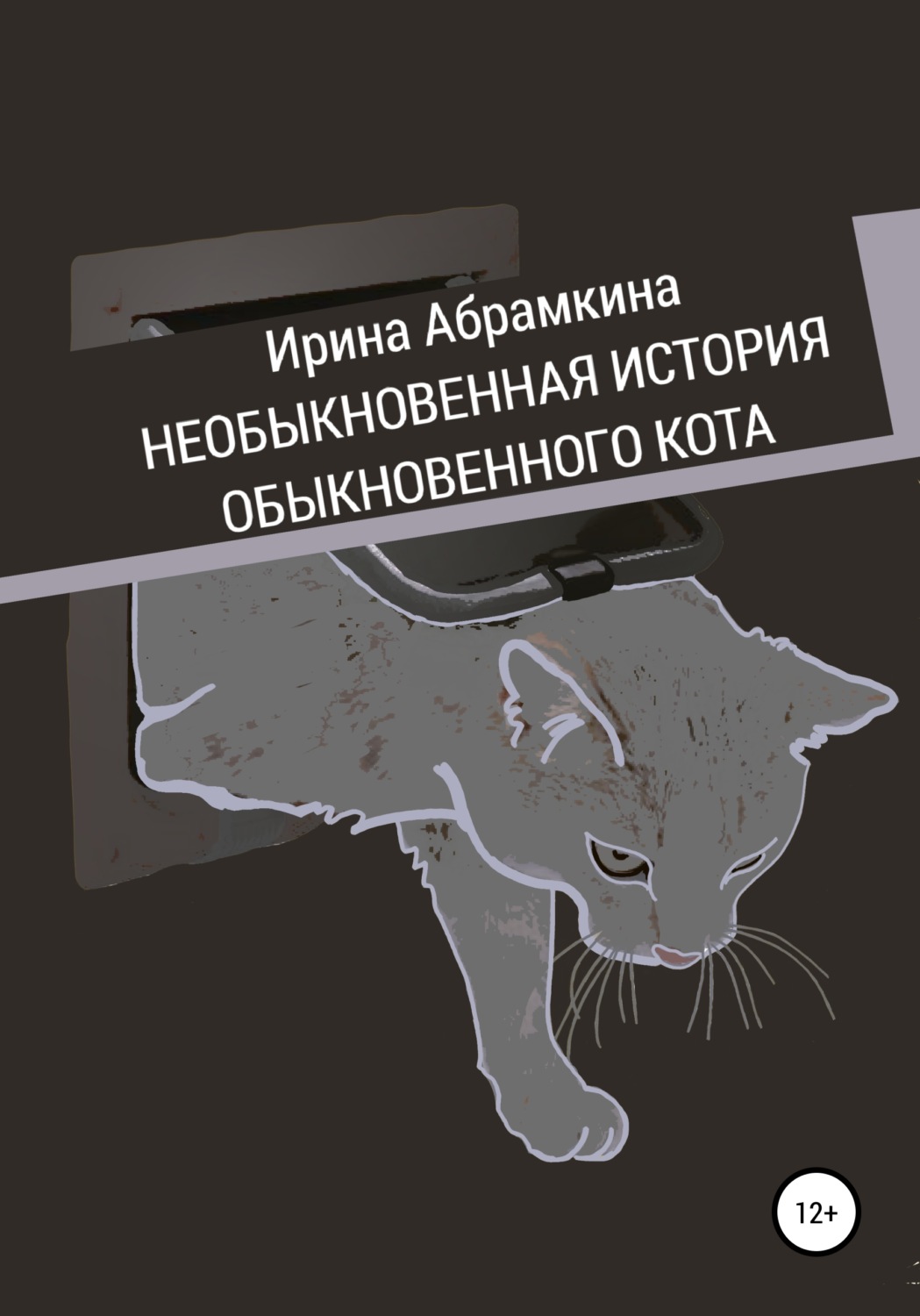 Обложка книги «Необыкновенная история обыкновенного кота»