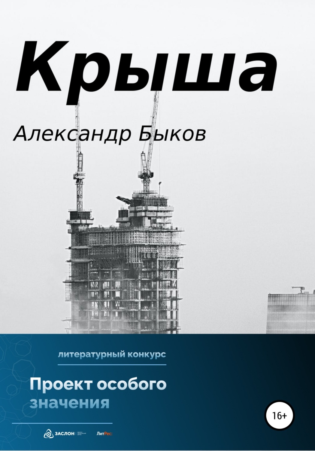 Обложка книги «Крыша»