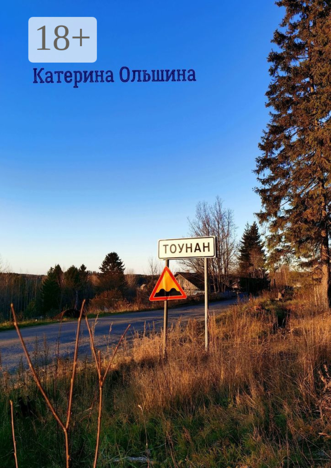Обложка книги «Тоунан»