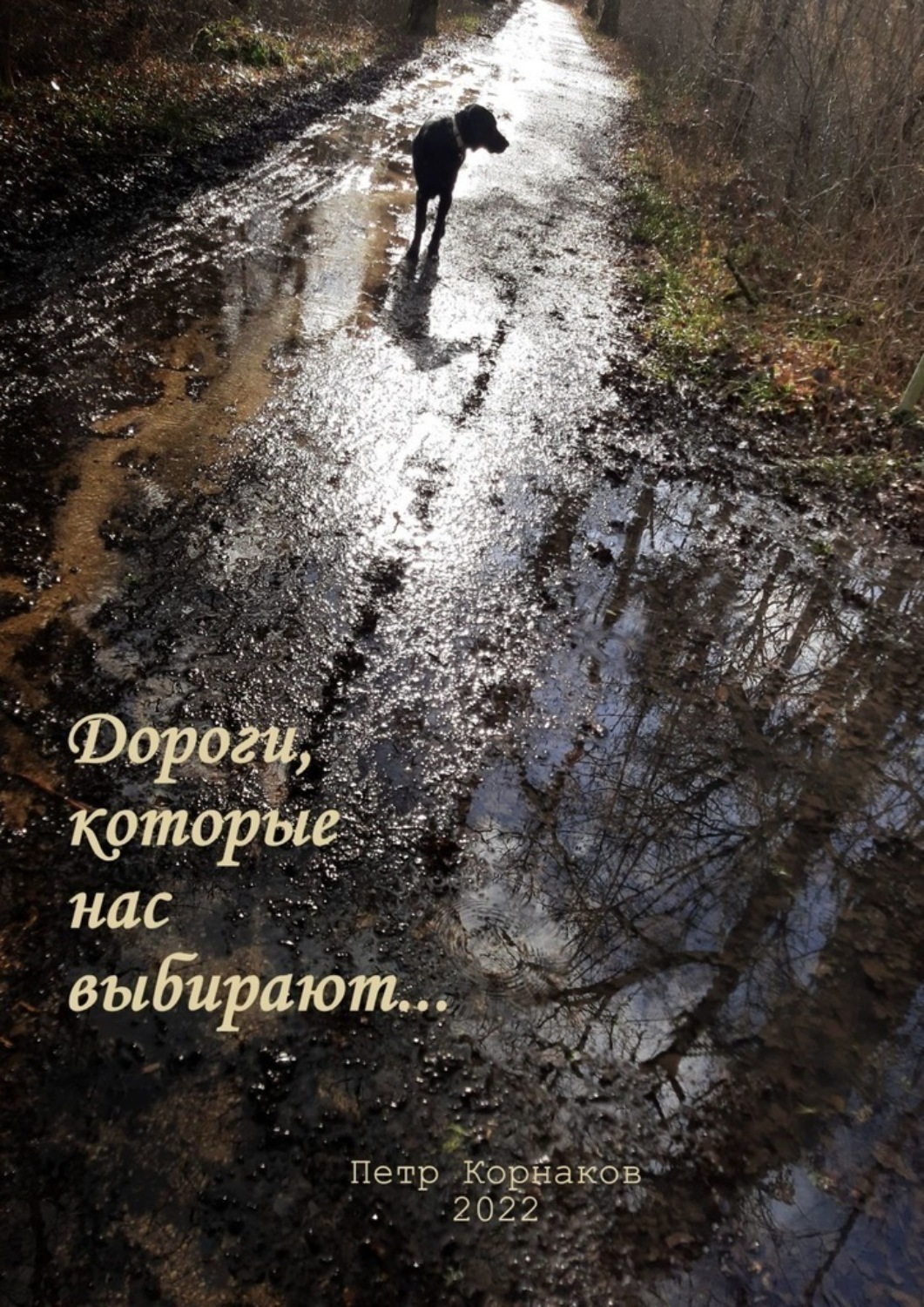 Обложка книги «Дороги, которые нас выбирают…»