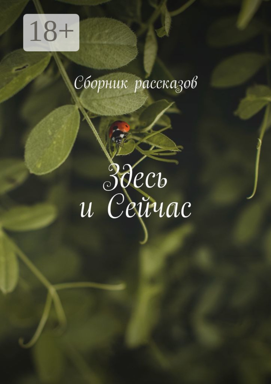 Обложка книги «Здесь и сейчас»