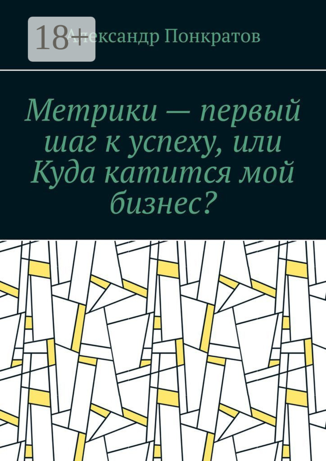 Обложка книги «Метрики – первый шаг к успеху, или Куда катится мой бизнес?»