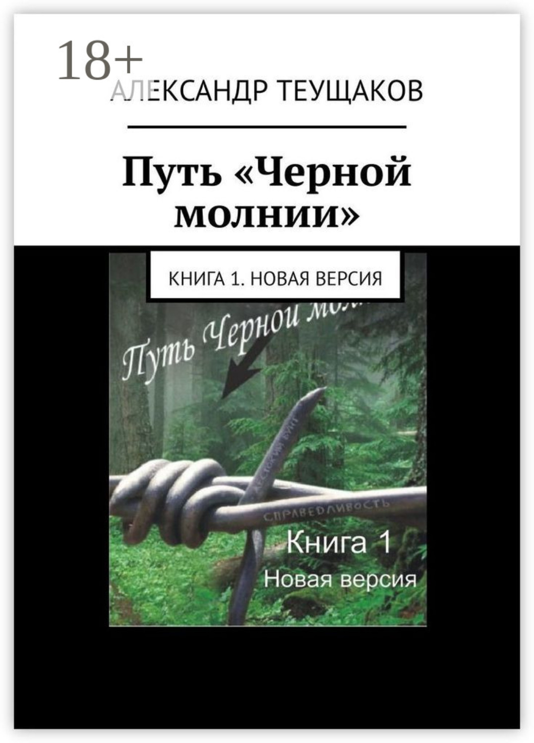 Обложка книги «Путь «Черной молнии». Книга 1. Новая версия»