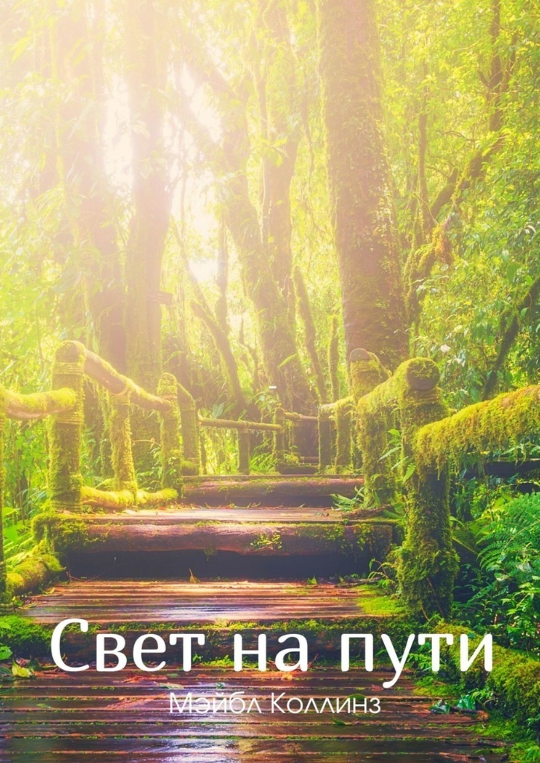 Обложка книги «Свет на пути»