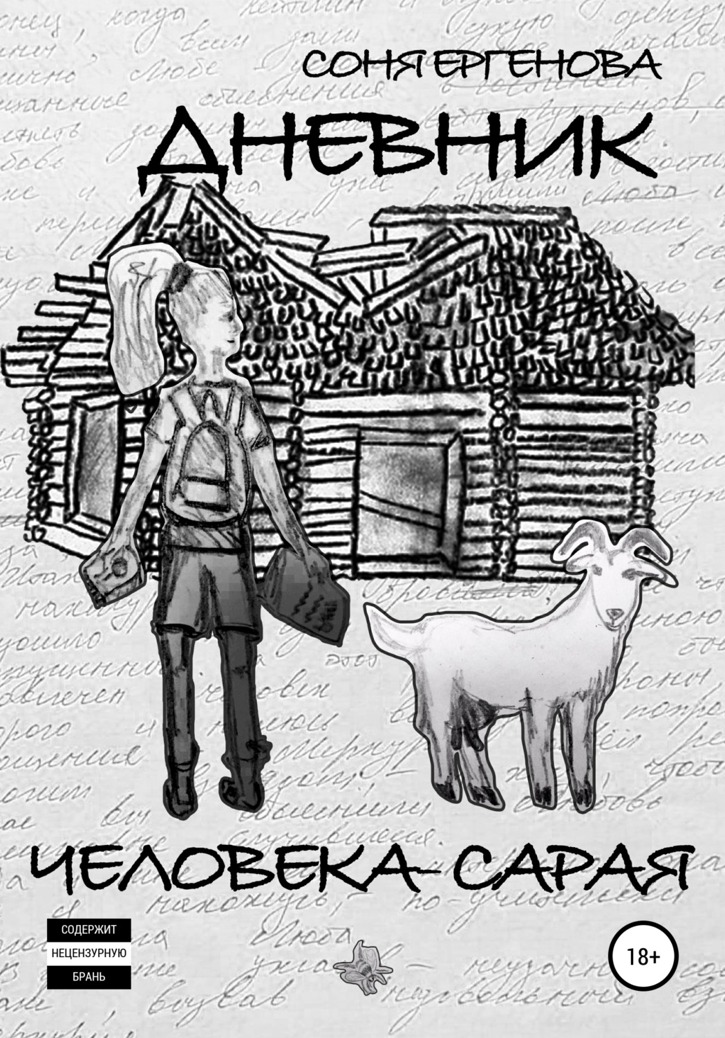 Обложка книги «Дневник Человека-Сарая»