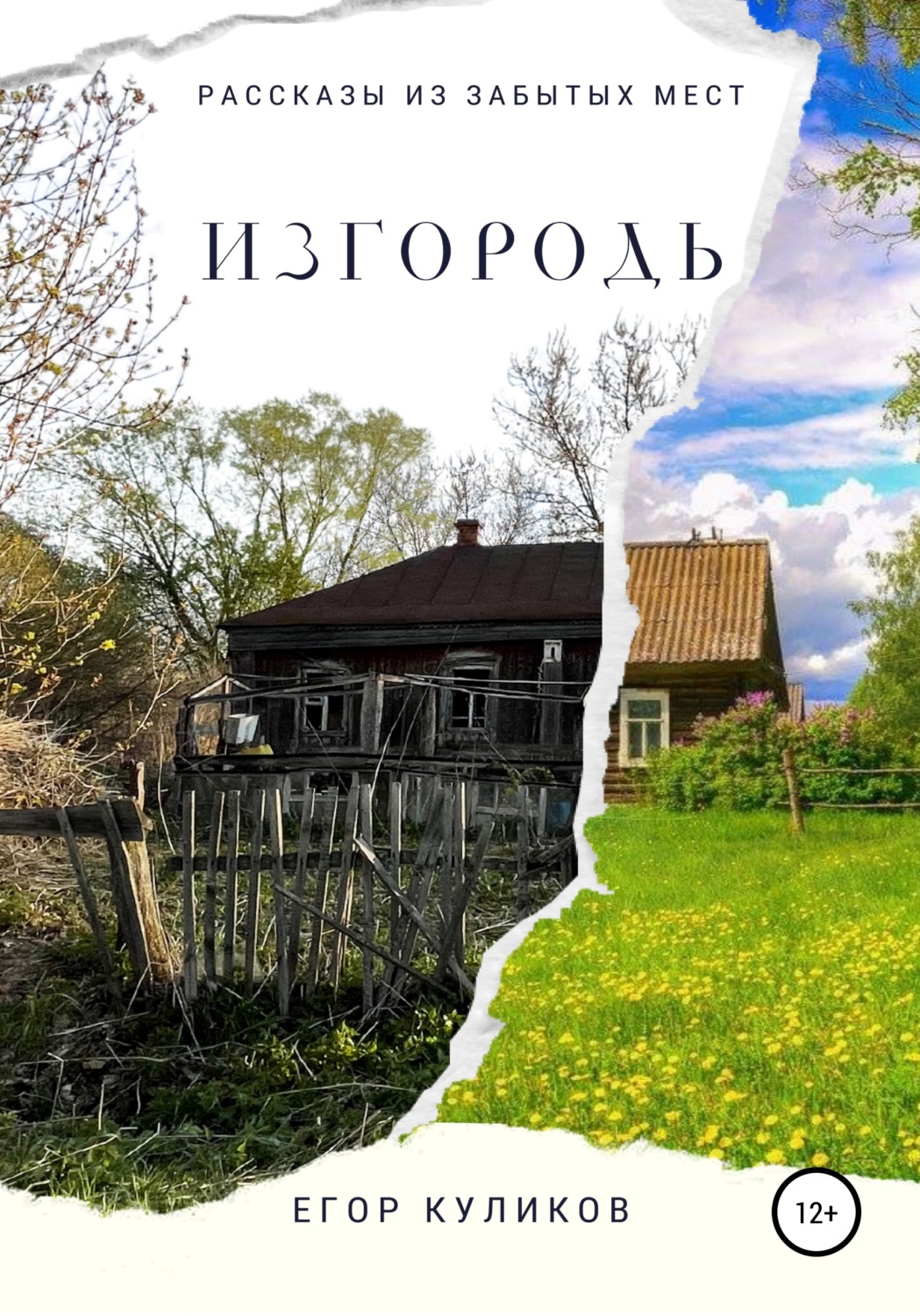 Обложка книги «Изгородь»