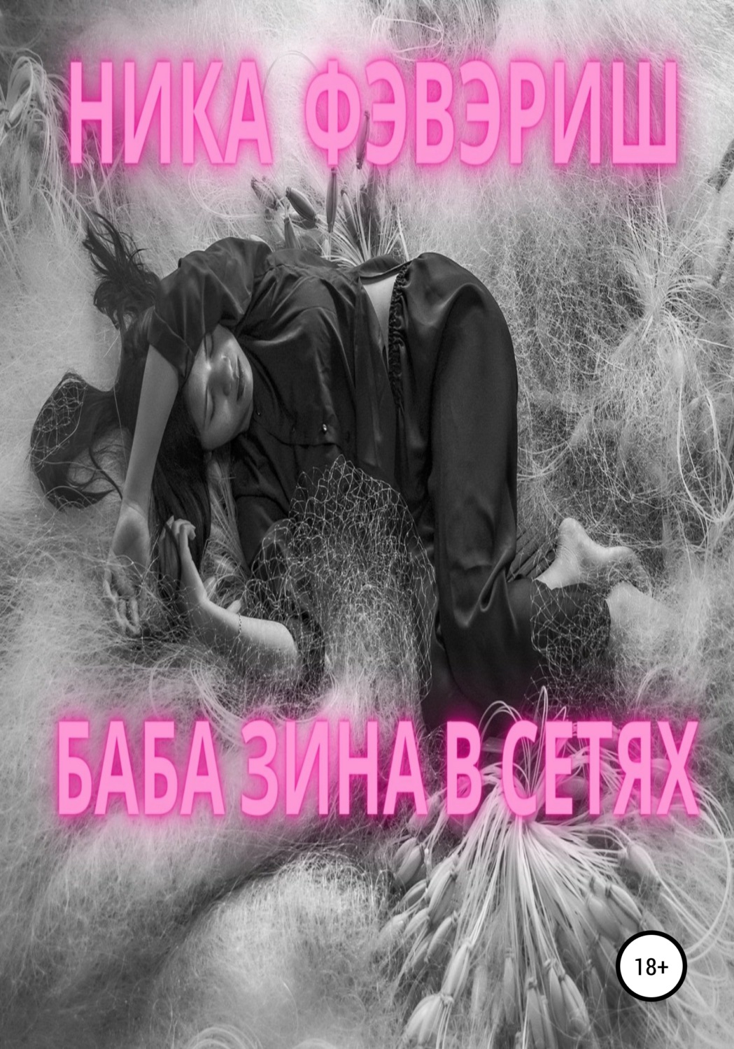 Обложка книги «Баба Зина в сетях»