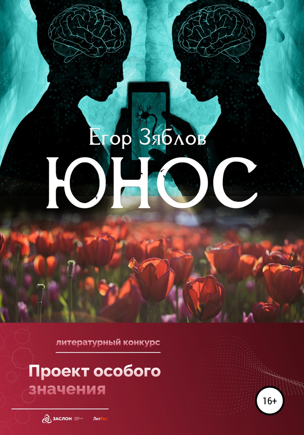Обложка книги «Юнос»