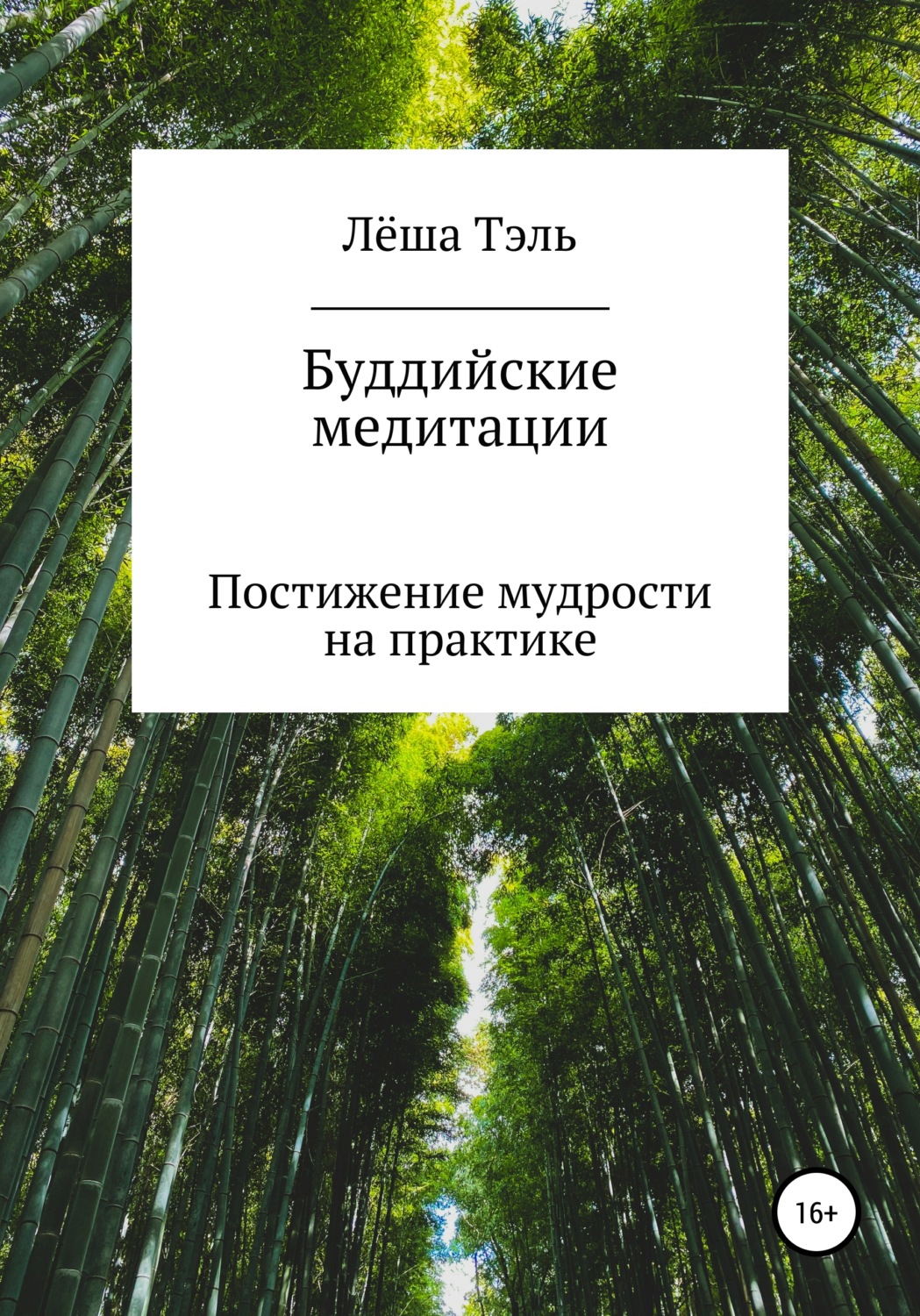 Обложка книги «Буддийские медитации. Постижение мудрости на практике»