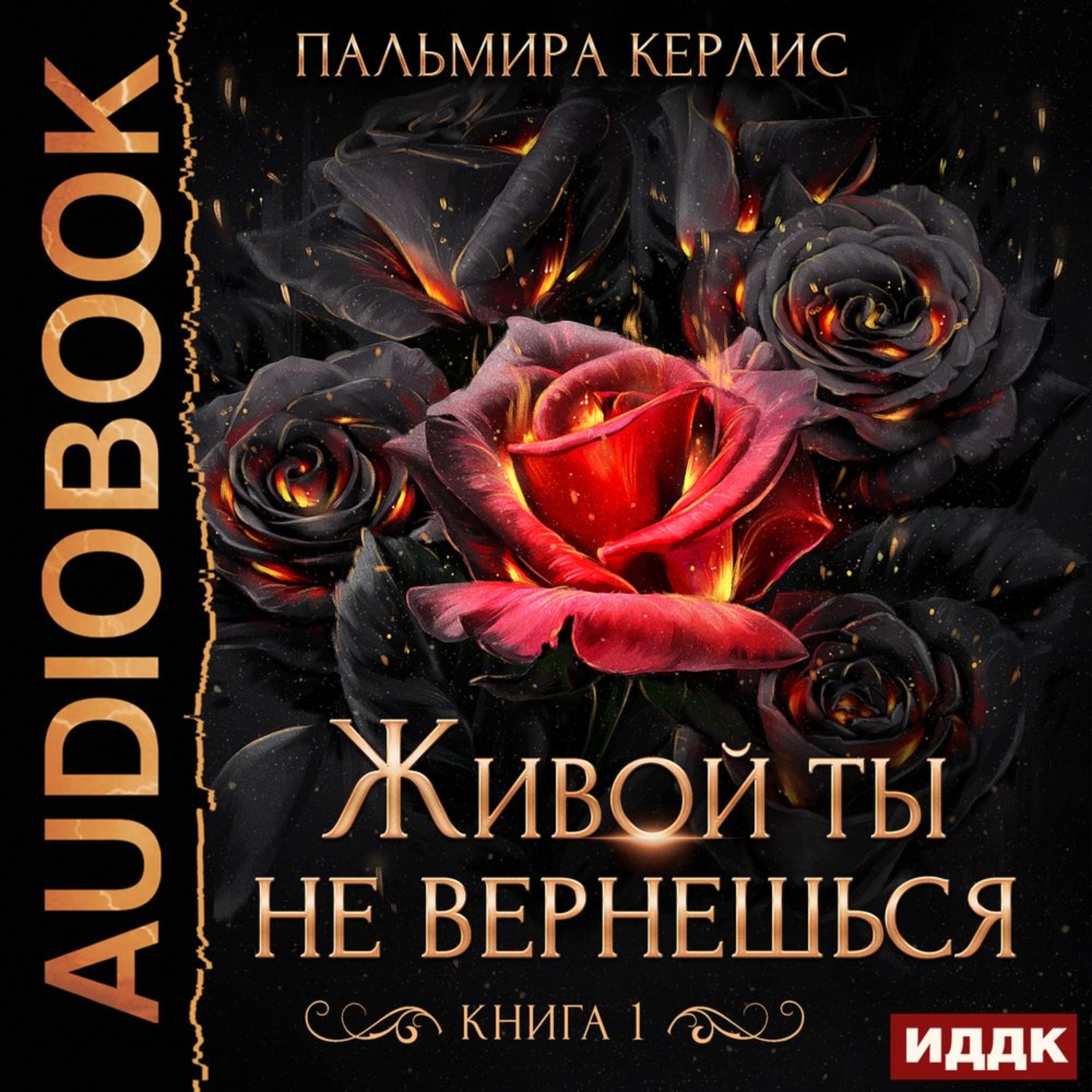 Обложка книги «Живой ты не вернешься. Книга 1»