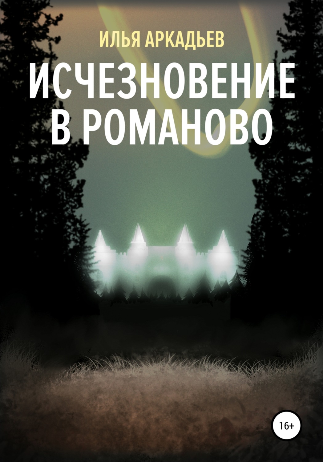Обложка книги «Исчезновение в Романово»