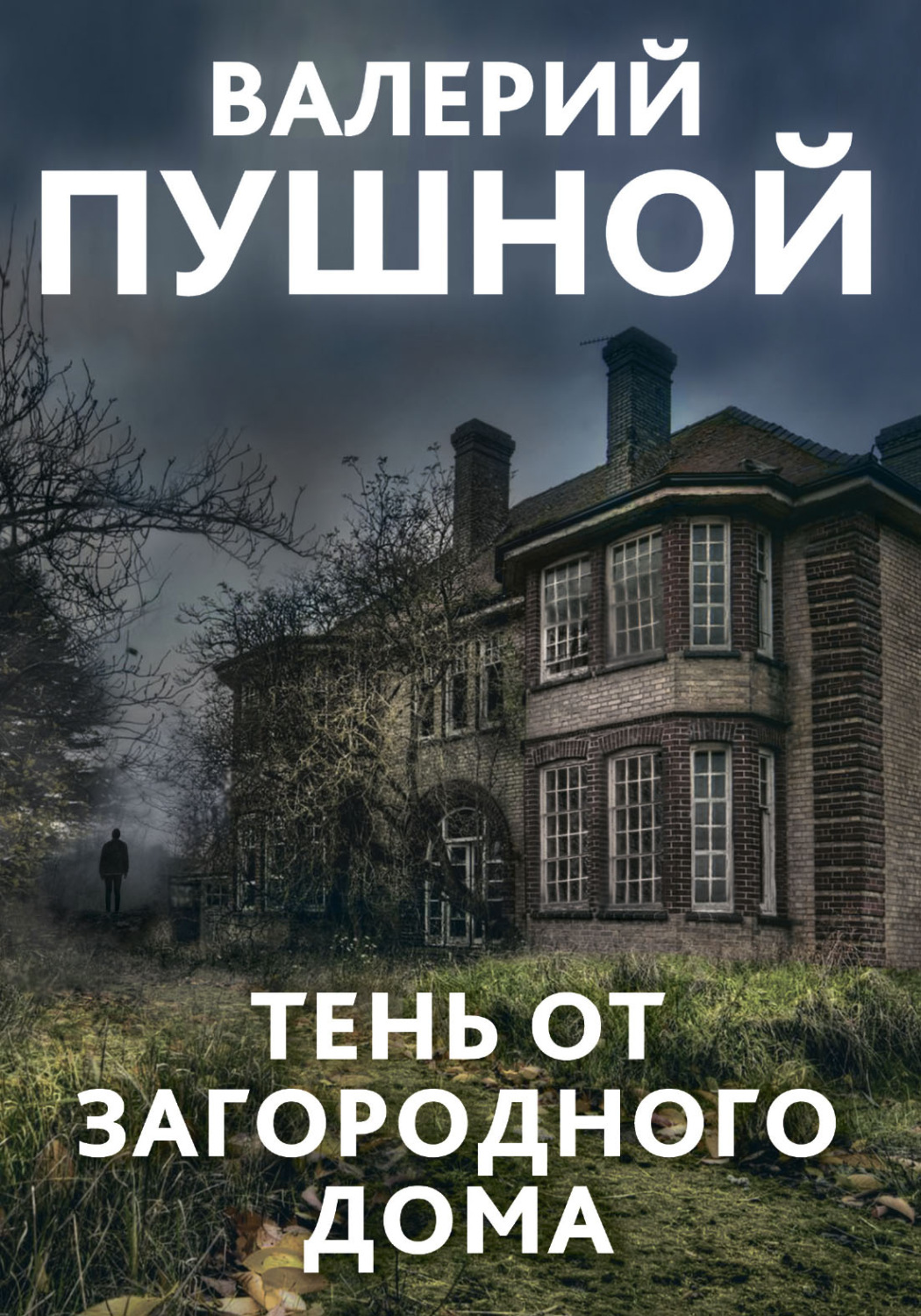 Обложка книги «Тень от загородного дома»