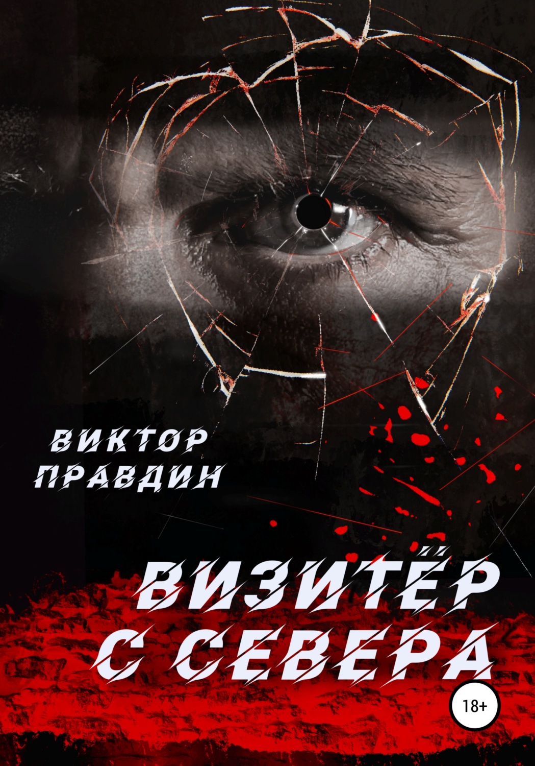 Обложка книги «Визитер с севера»