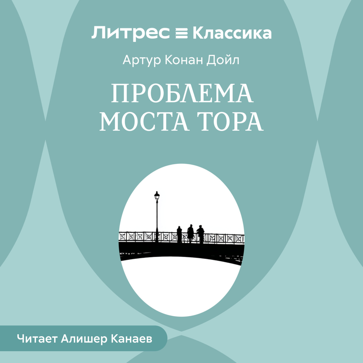 Обложка книги «Проблема моста Тора»
