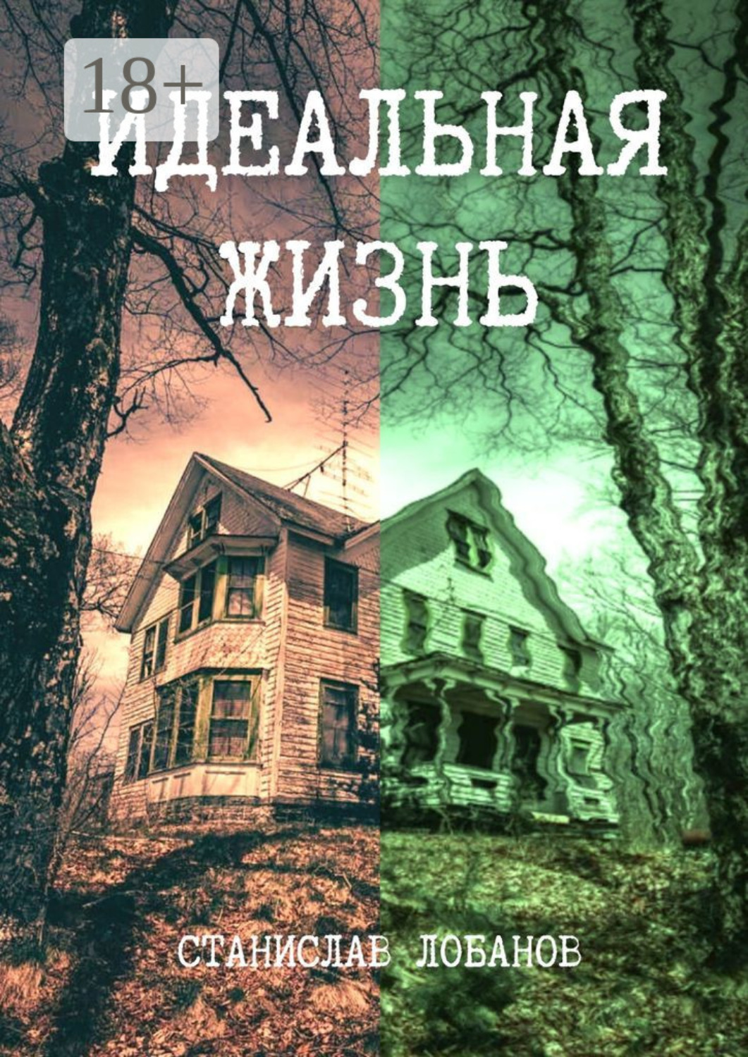 Обложка книги «Идеальная жизнь»