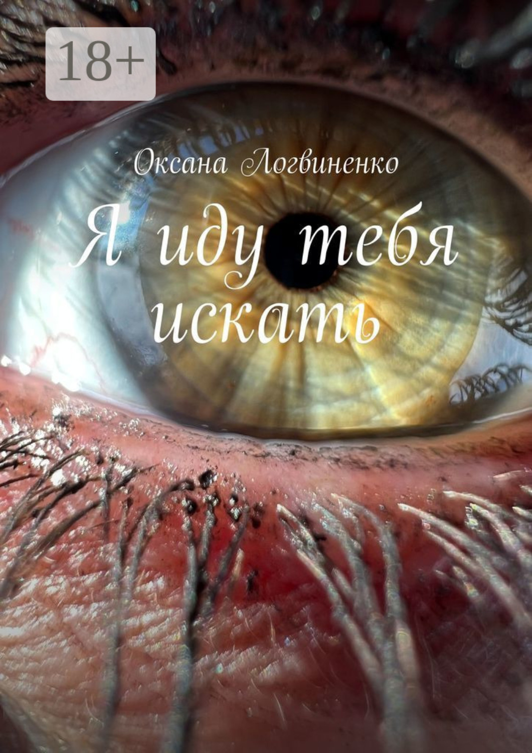 Обложка книги «Я иду тебя искать»