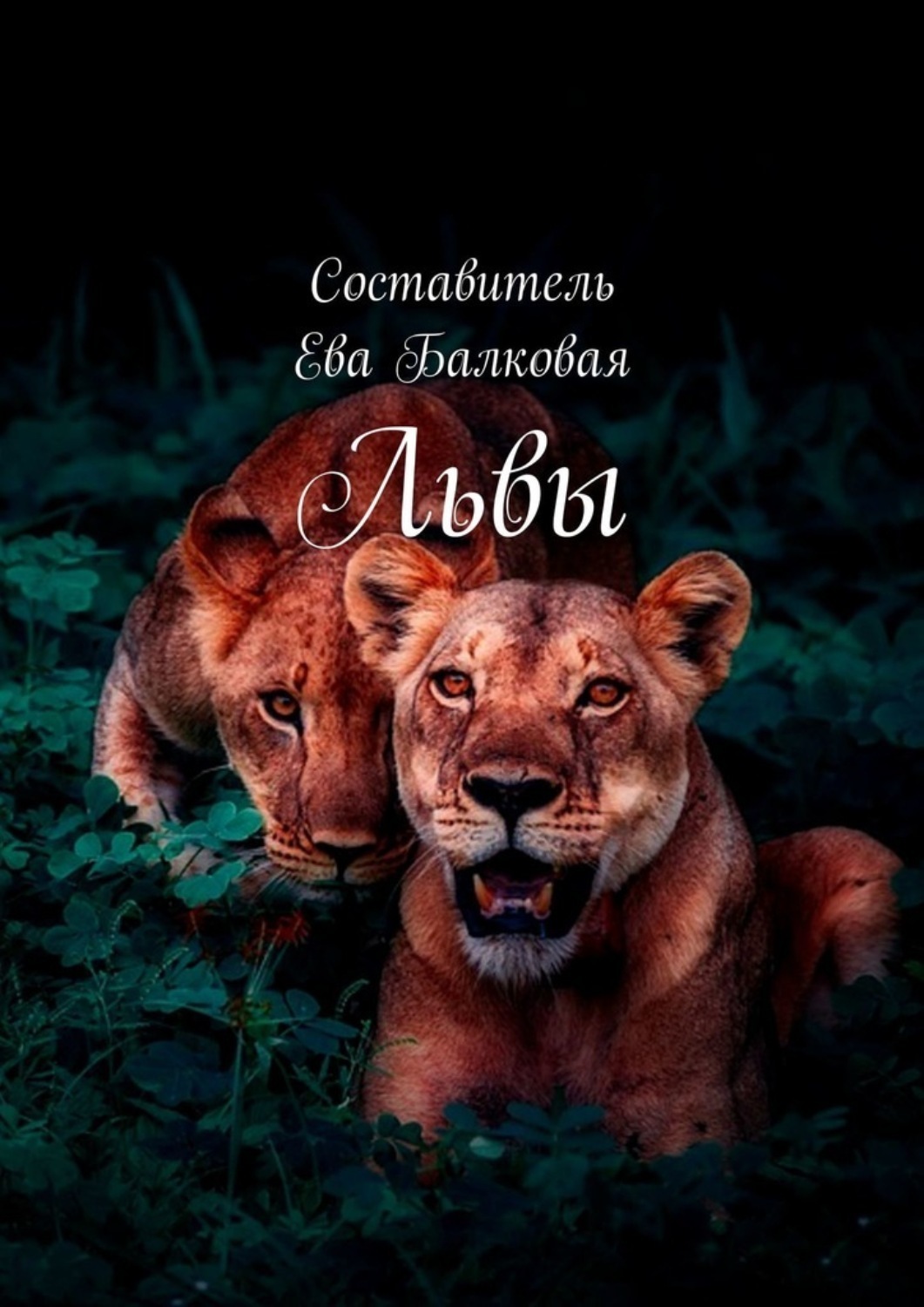 Обложка книги «Львы»