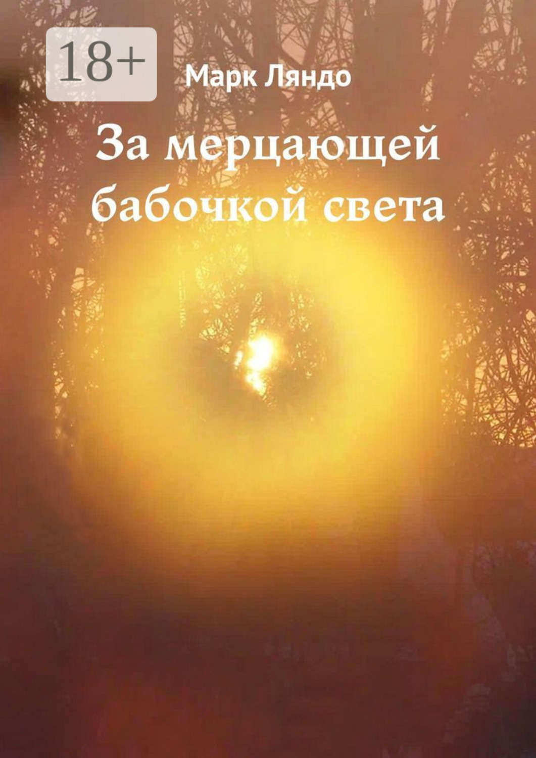 Обложка книги «За мерцающей бабочкой света»