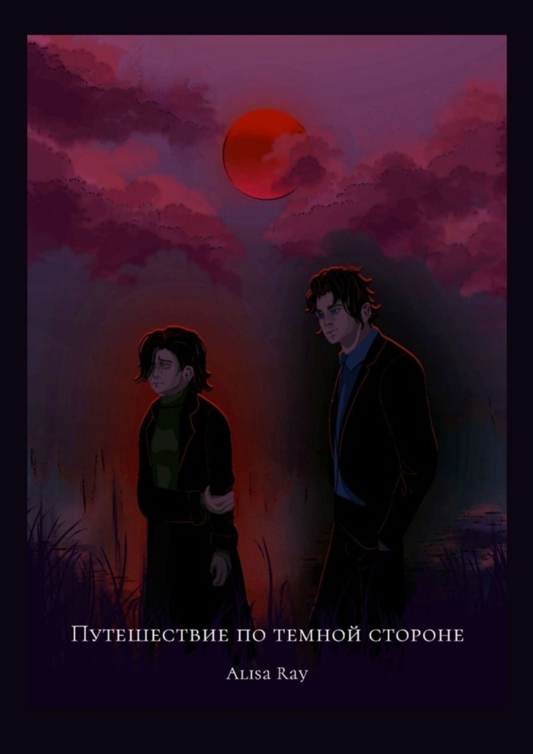 Обложка книги «Путешествие по Тёмной стороне»