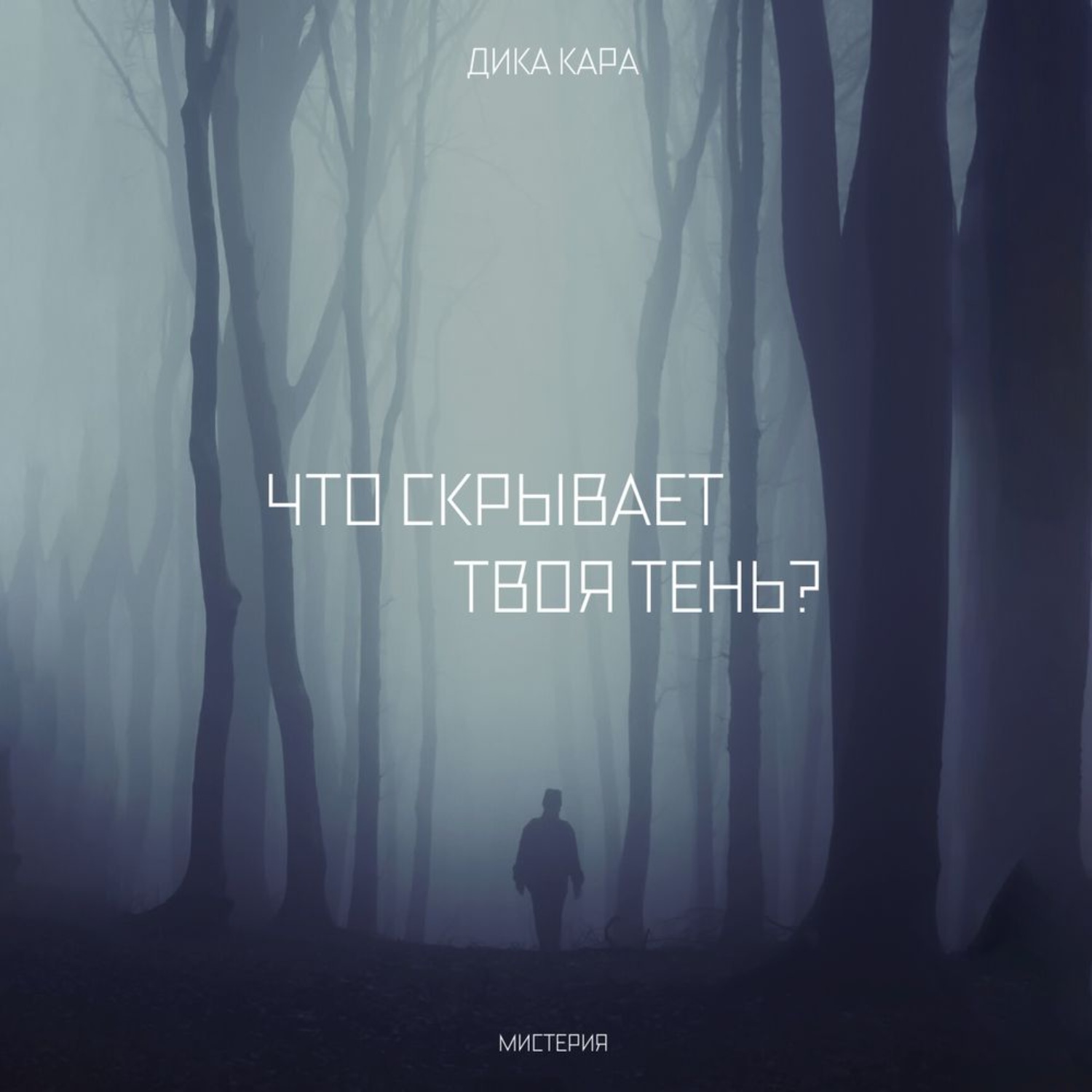 Обложка книги «Что скрывает твоя тень?»