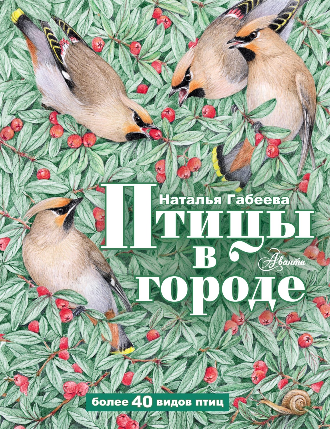 Обложка книги «Птицы в городе»