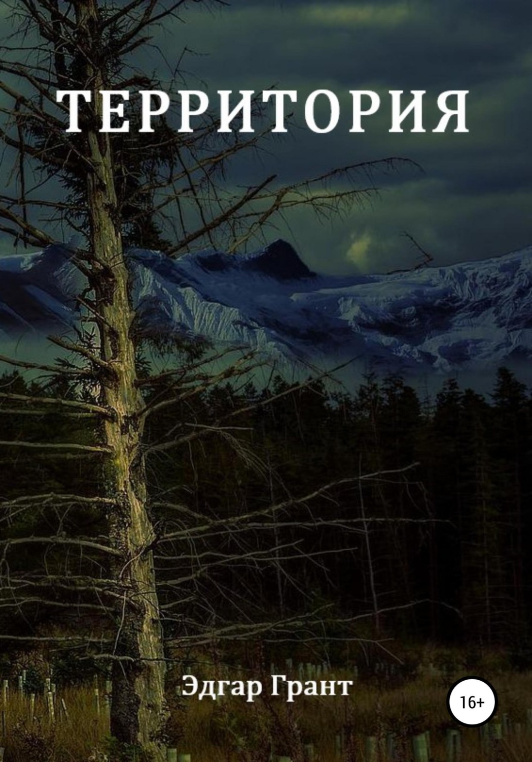 Обложка книги «Территория»