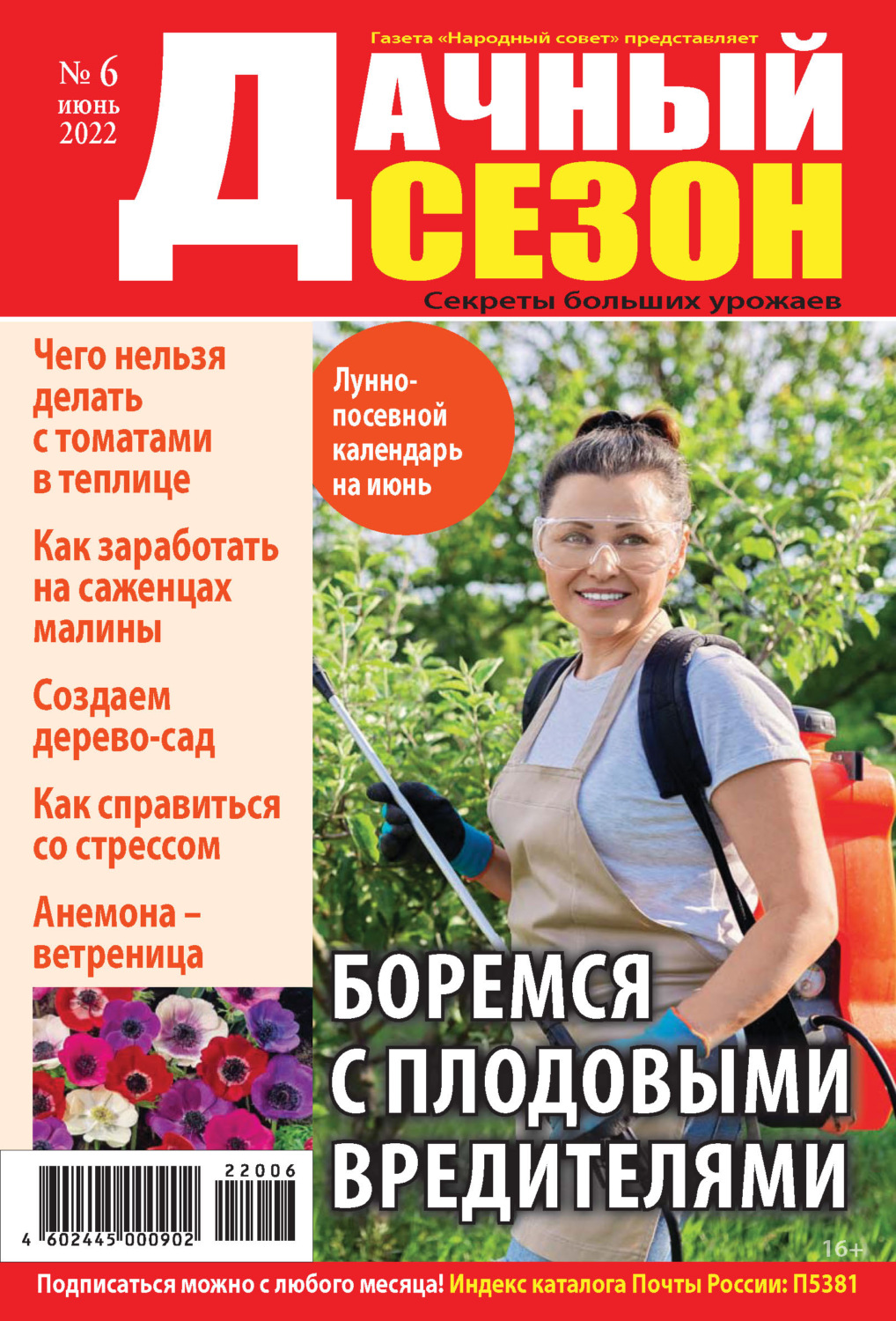 Обложка книги «Дачный сезон №06/2022»