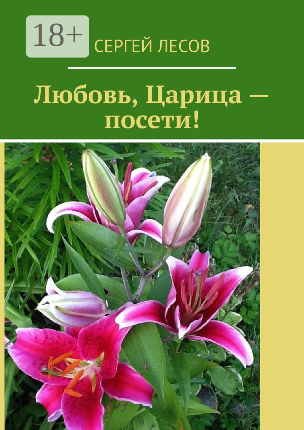 Обложка книги «Любовь, Царица – посети!»