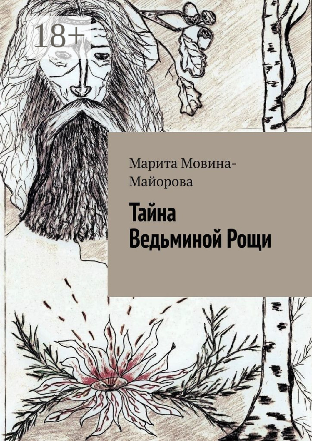 Обложка книги «Тайна Ведьминой Рощи»