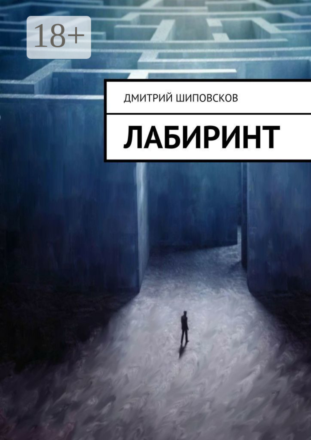 Обложка книги «Лабиринт»