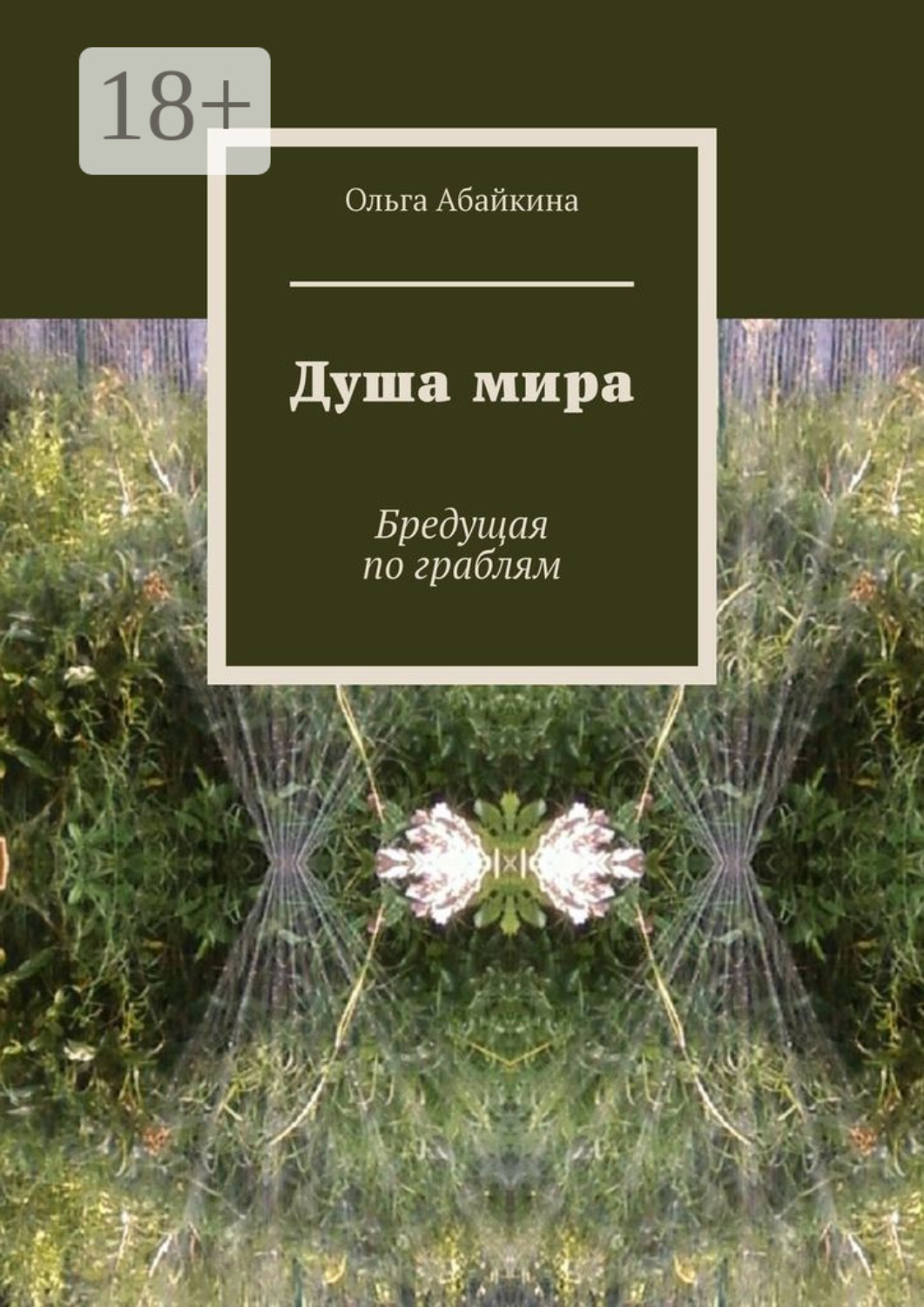 Обложка книги «Душа мира. Бредущая по граблям»