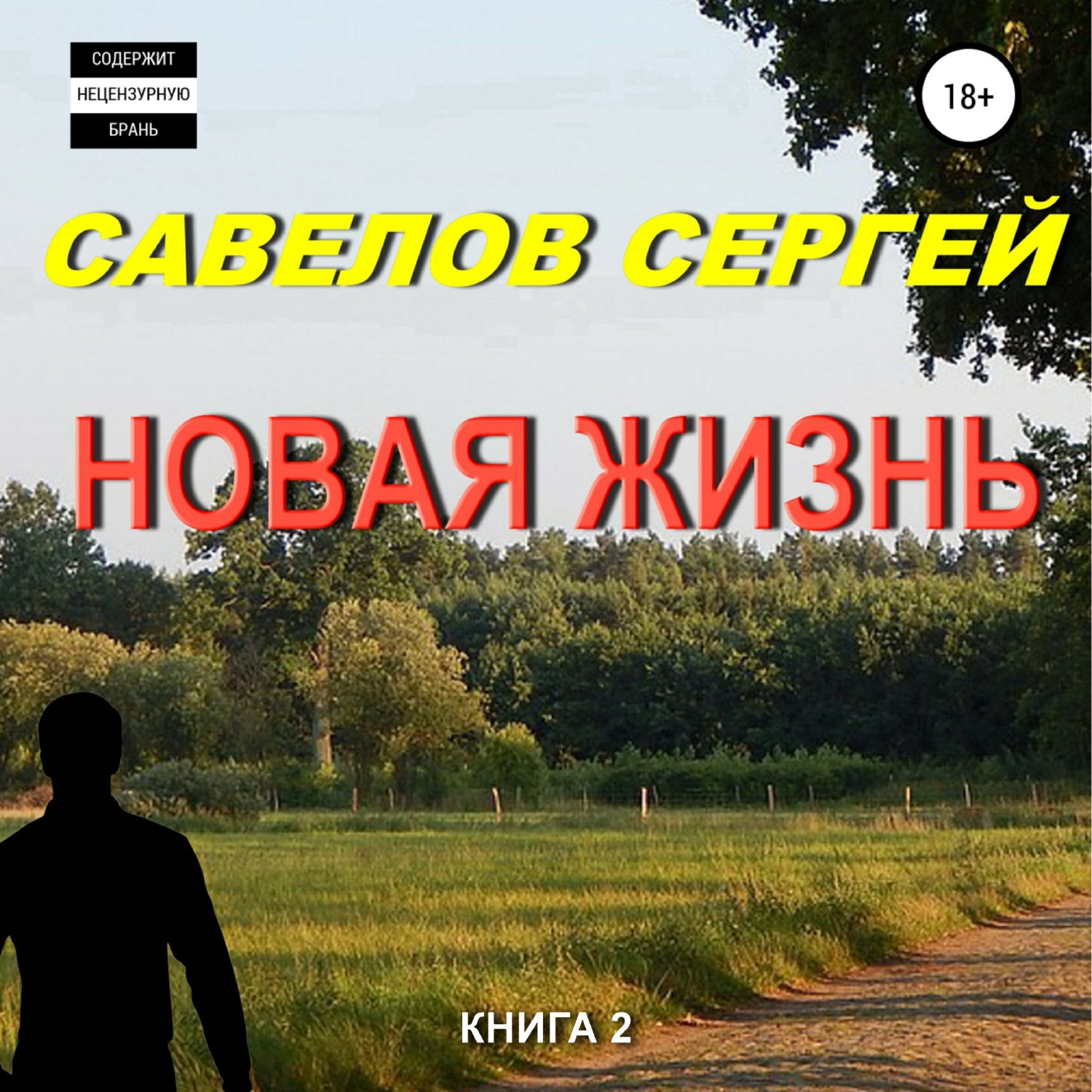 Обложка книги «Новая жизнь. Книга 2»