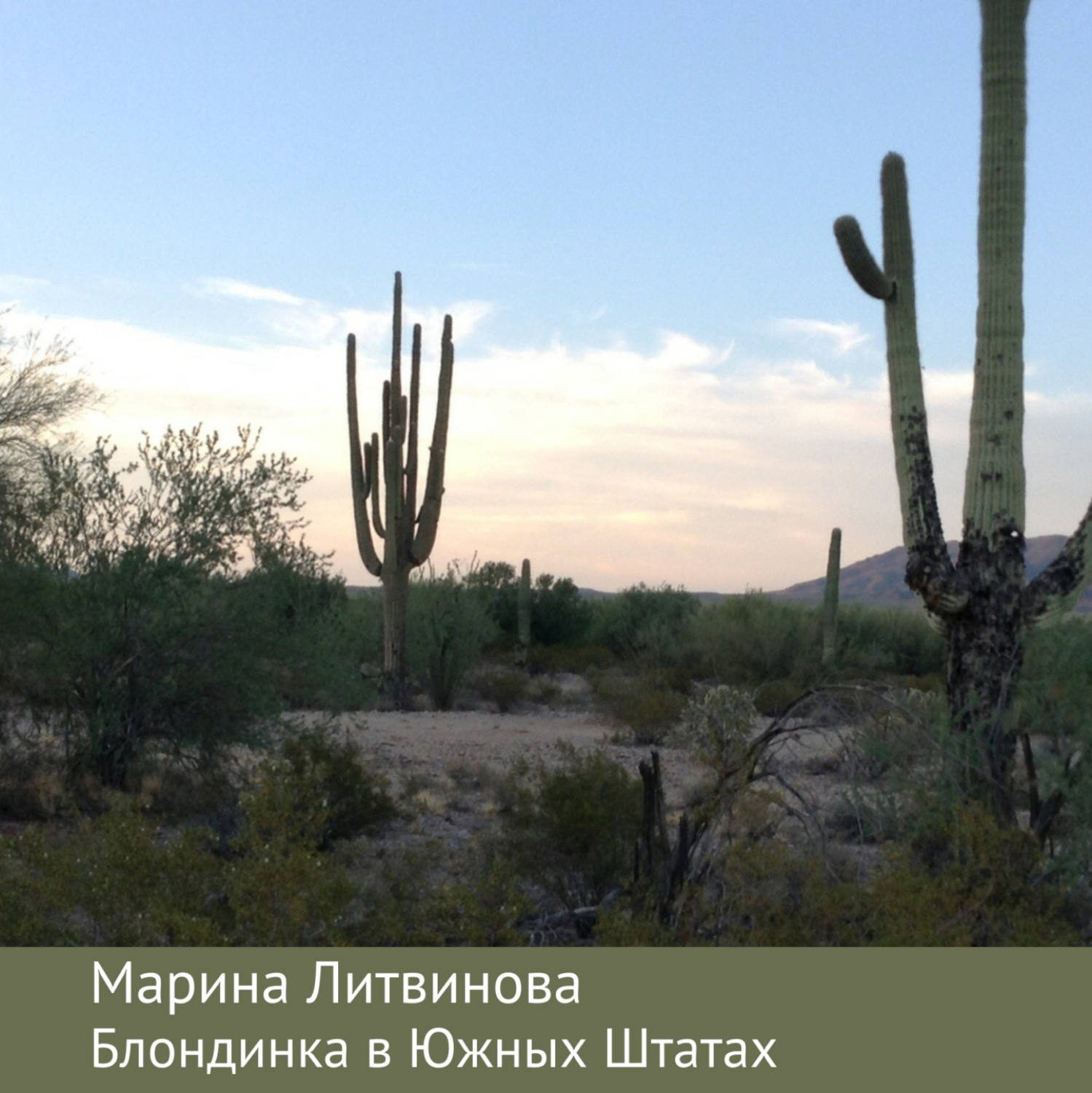 Обложка книги «Блондинка в Южных Штатах»