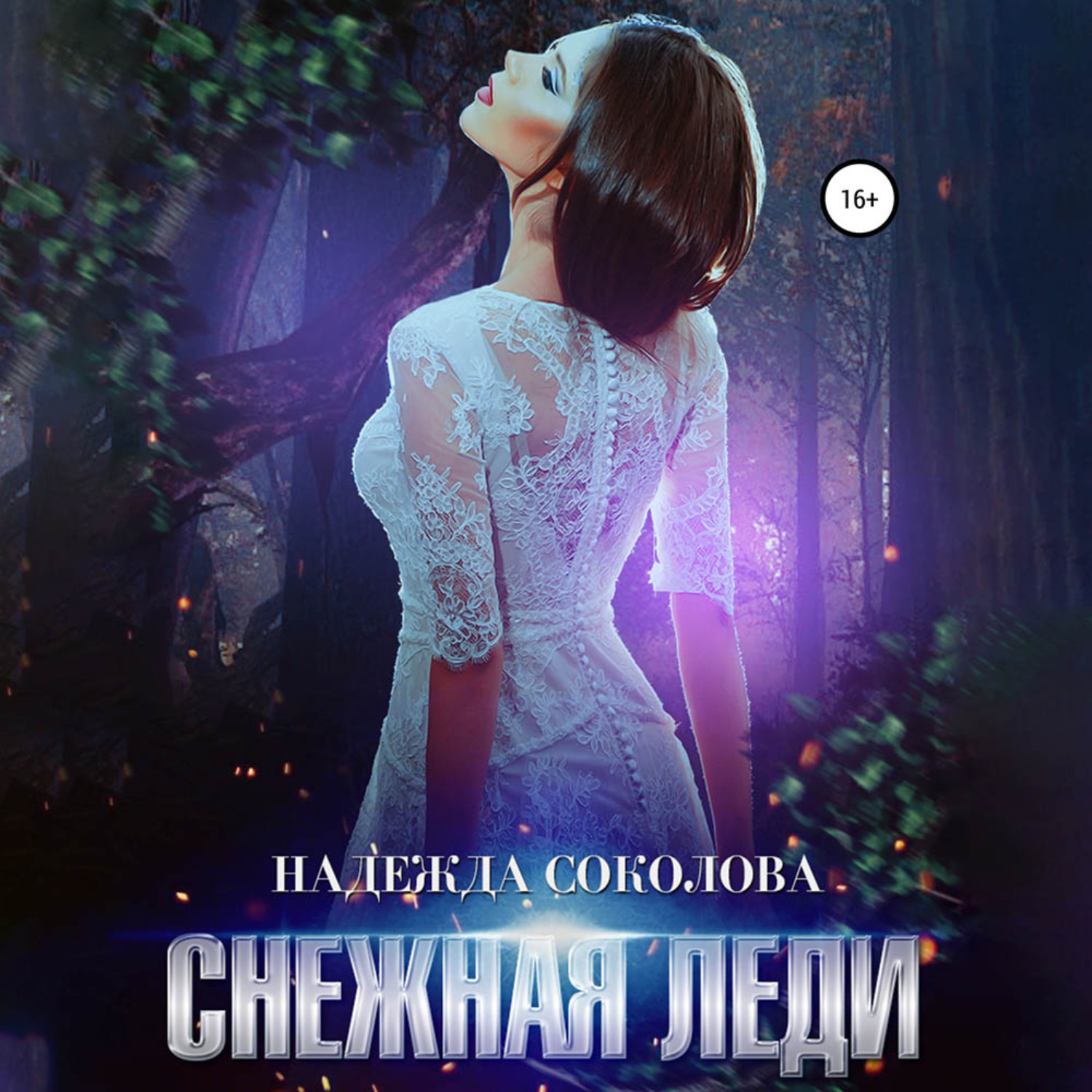 Обложка книги «Снежная леди»