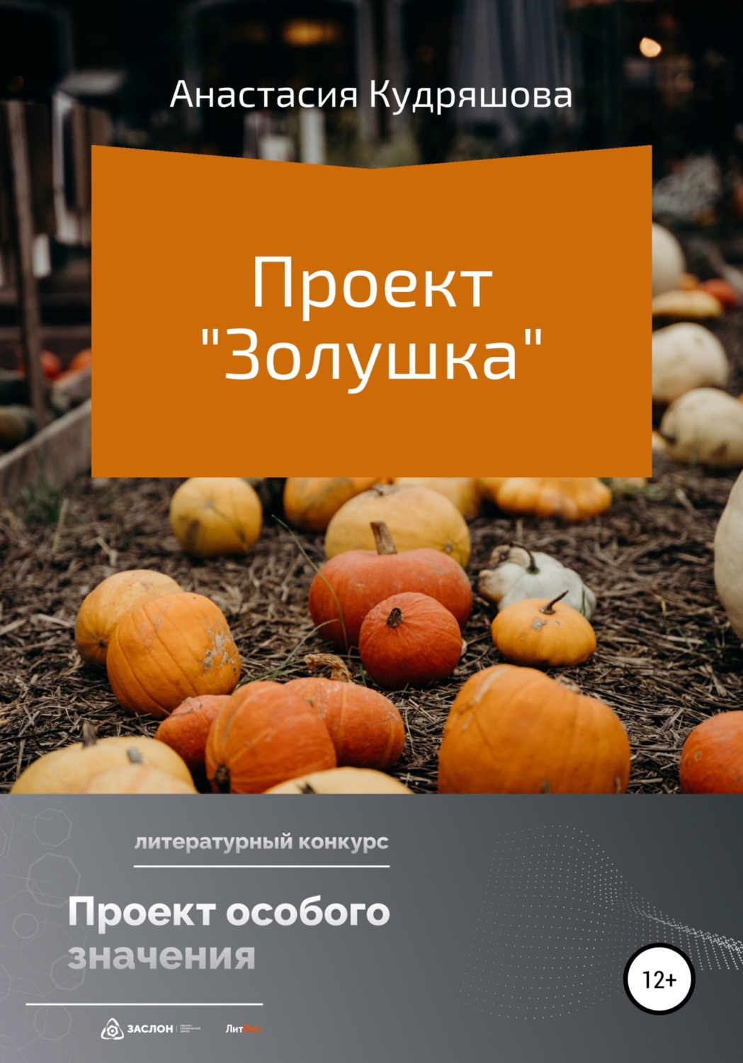 Обложка книги «Проект «Золушка»»
