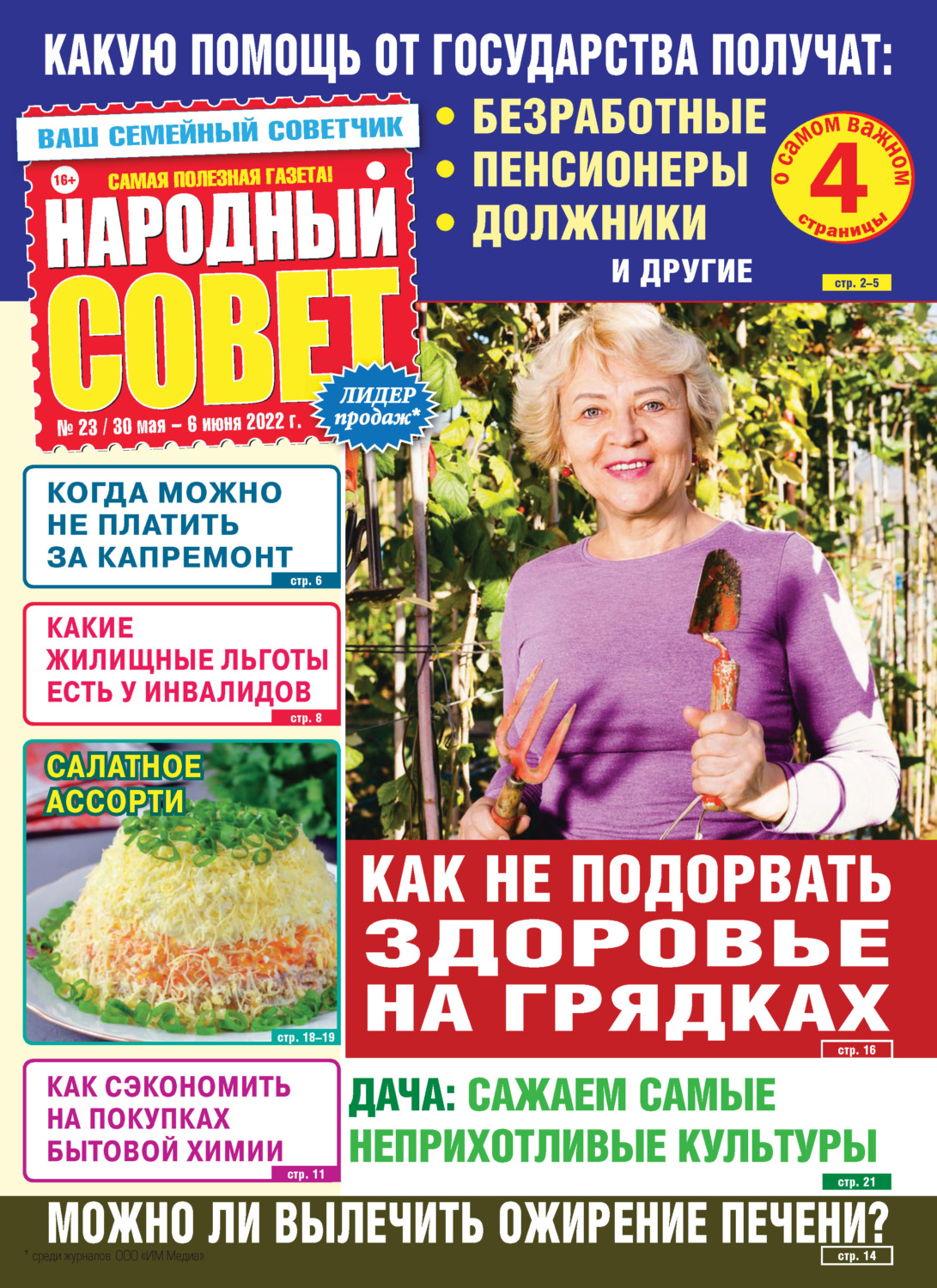 Обложка книги «Народный совет №23/2022»