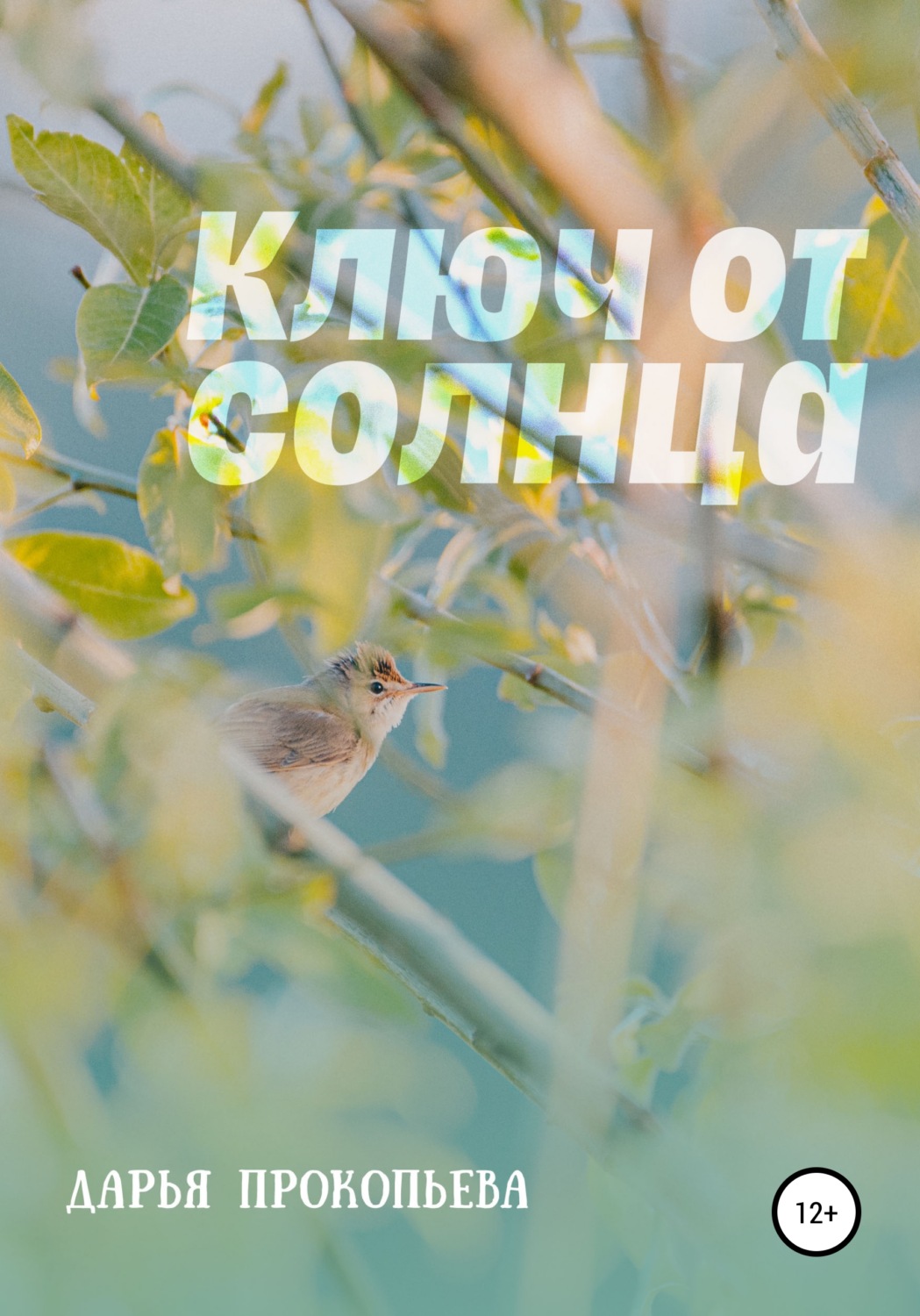 Обложка книги «Ключ от солнца»
