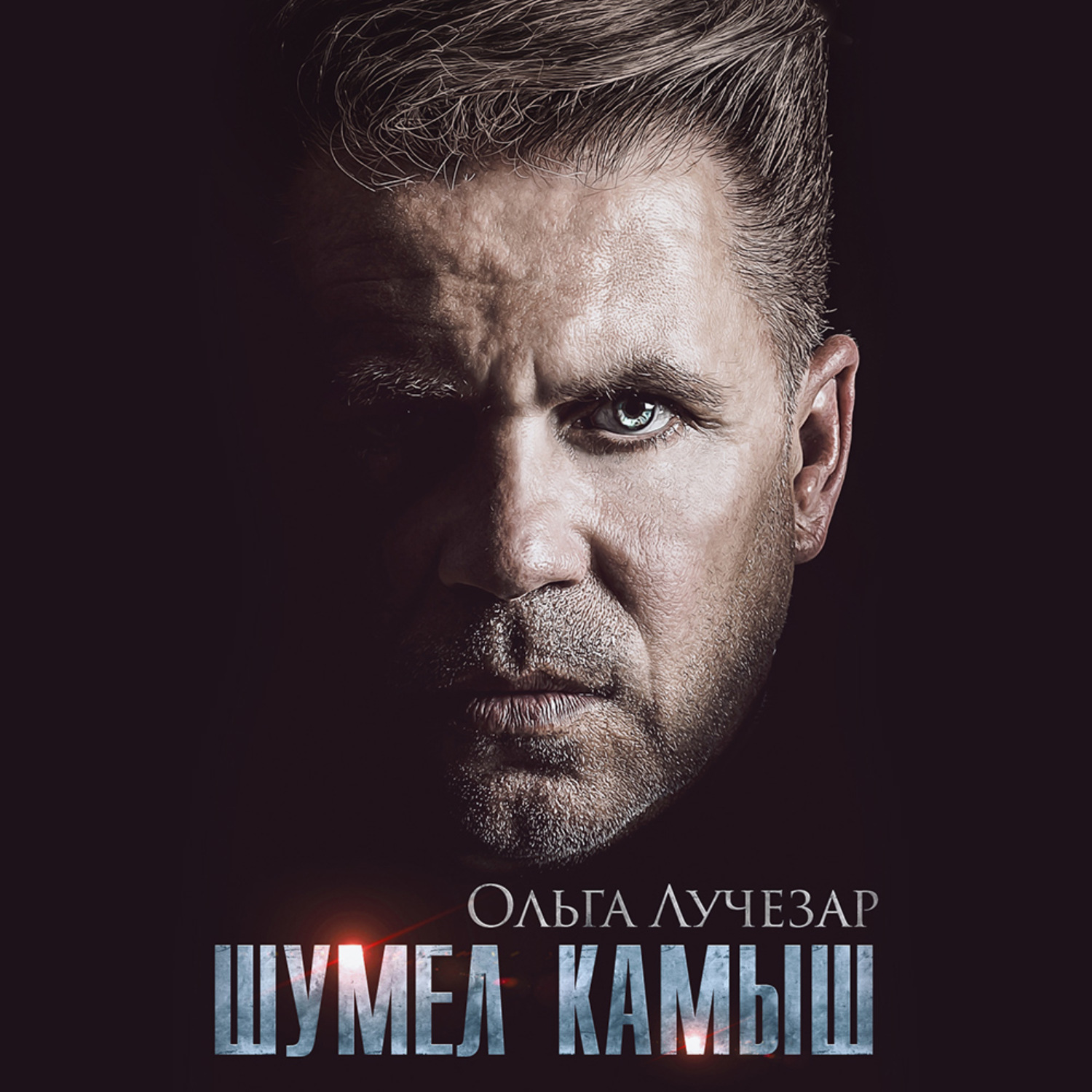Обложка книги «Шумел Камыш»