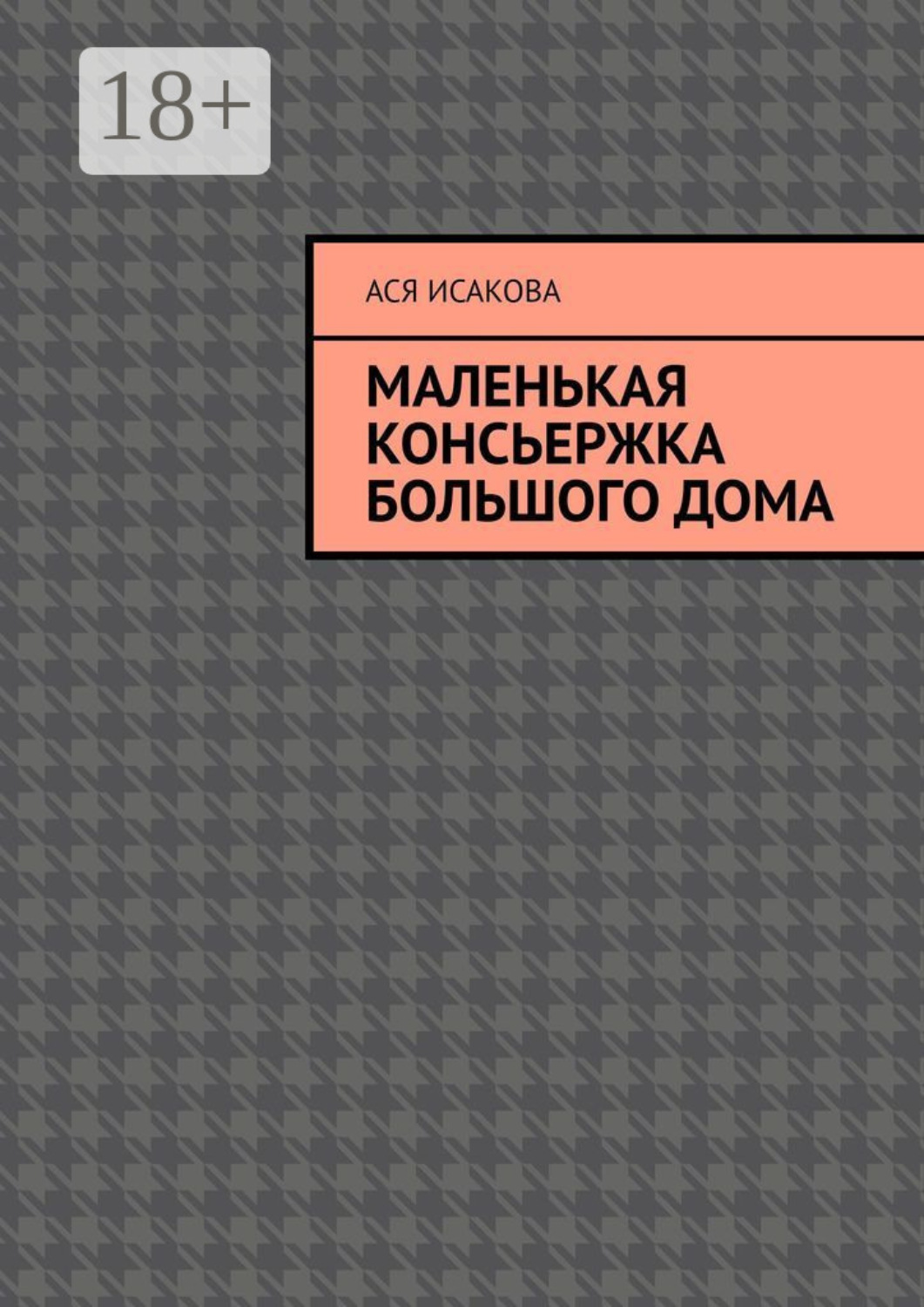 Обложка книги «Маленькая консьержка большого дома»