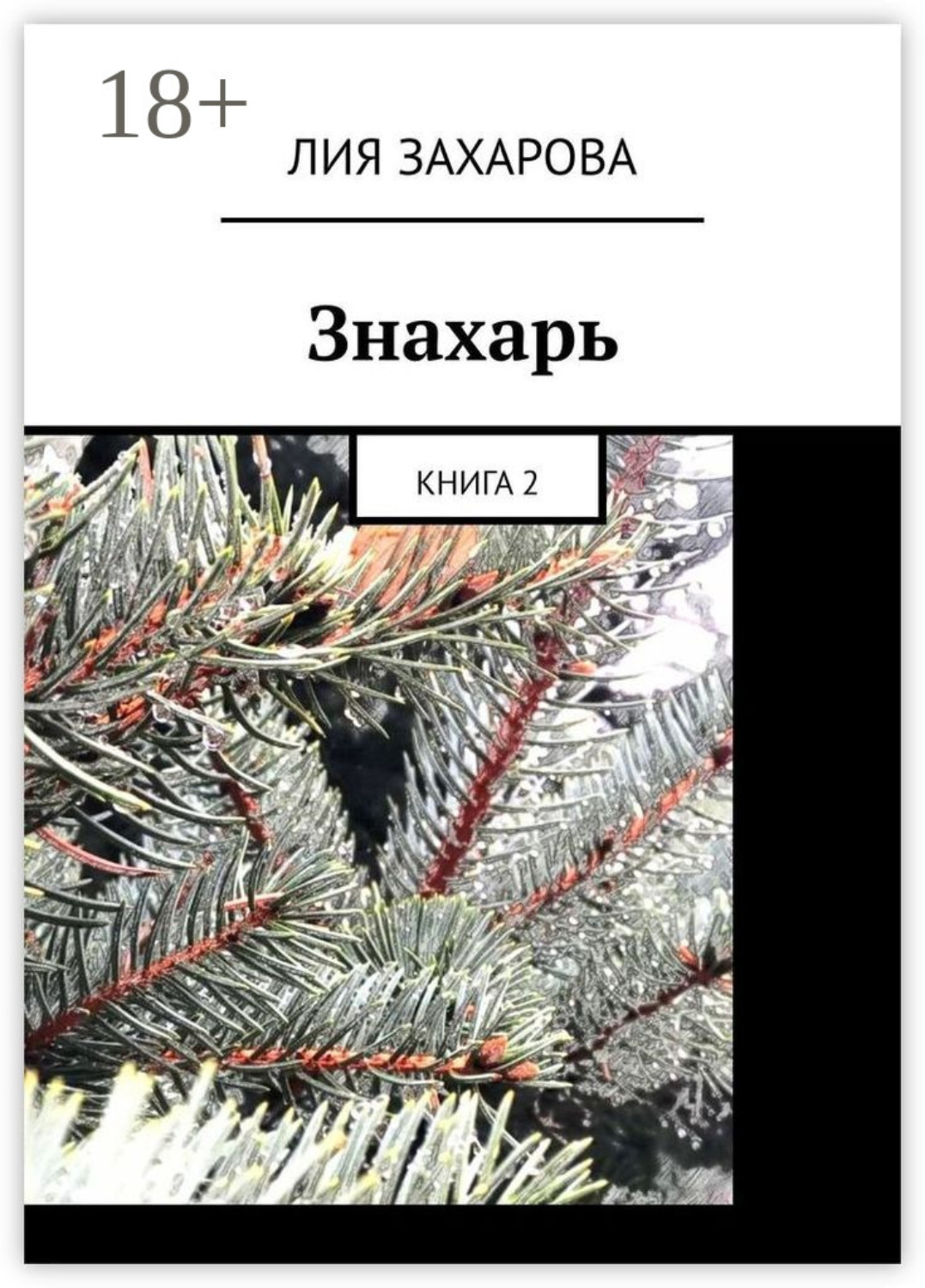 Обложка книги «Знахарь. Книга 2»
