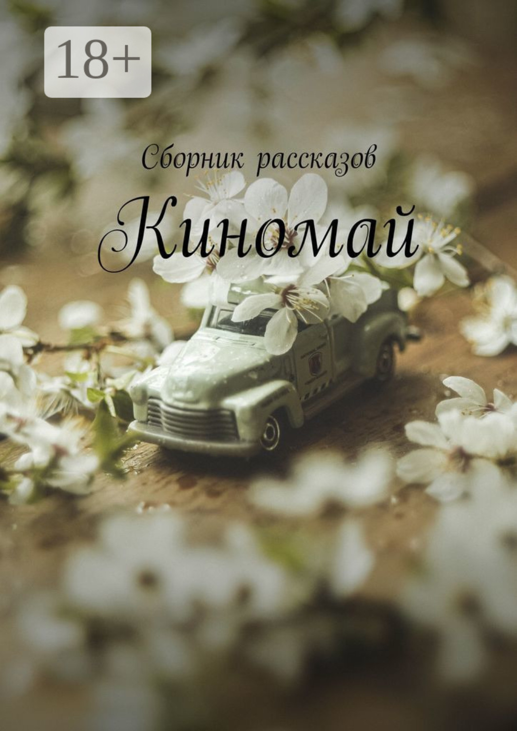 Обложка книги «Киномай»