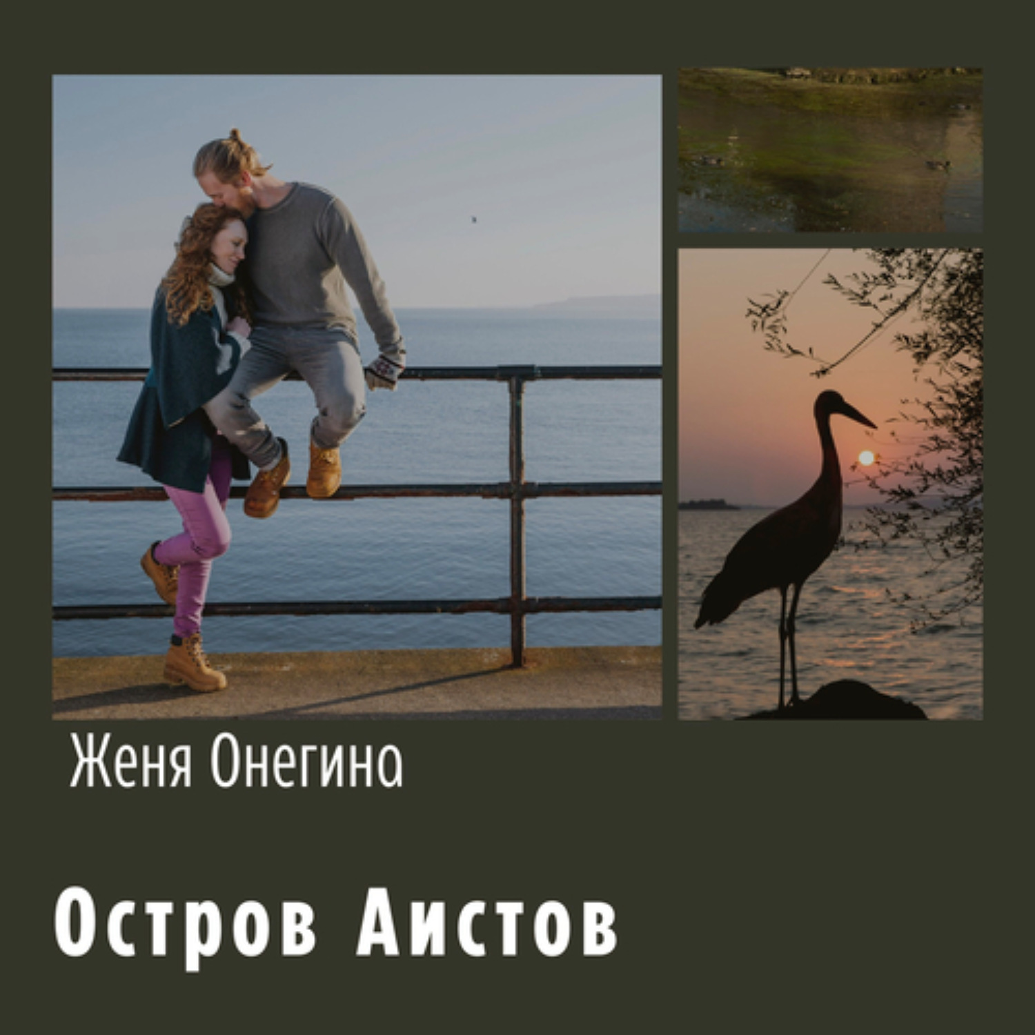 Обложка книги «Остров аистов»