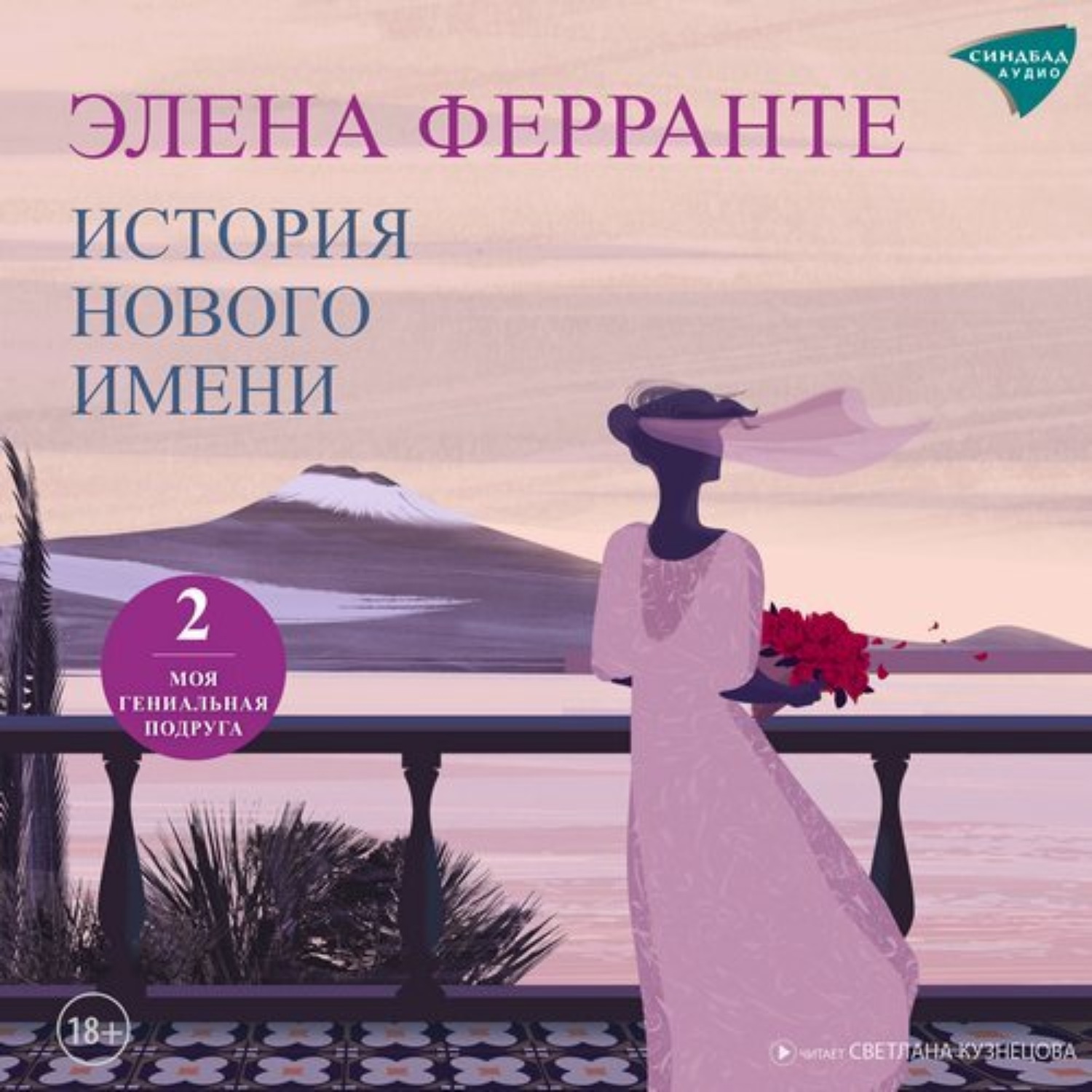Обложка книги «История нового имени»