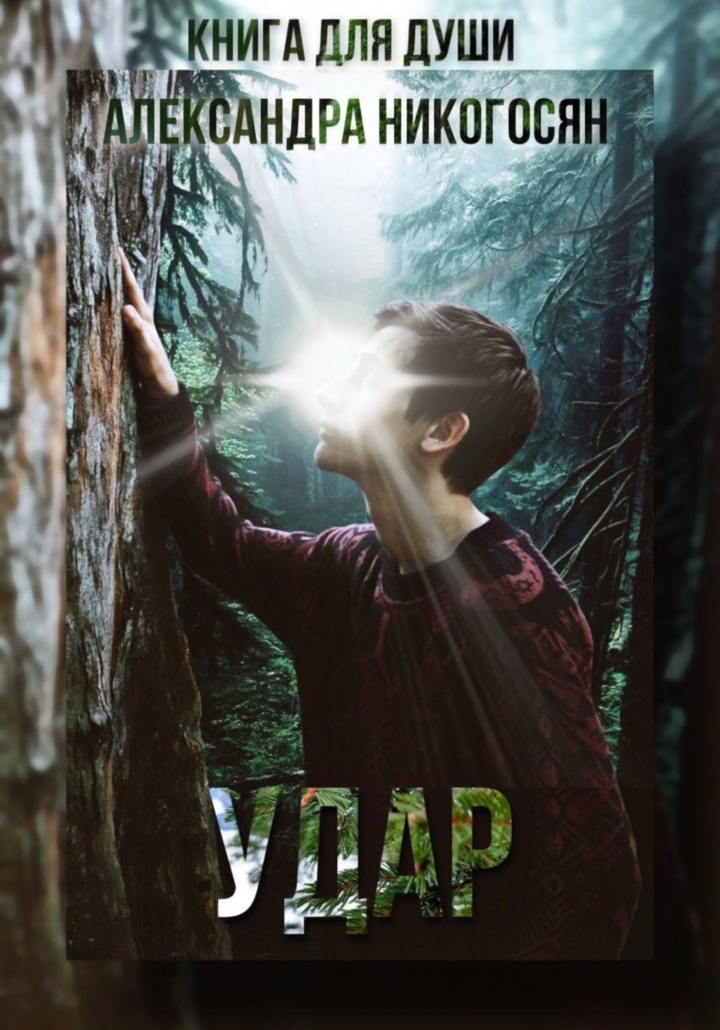 Обложка книги «Удар»