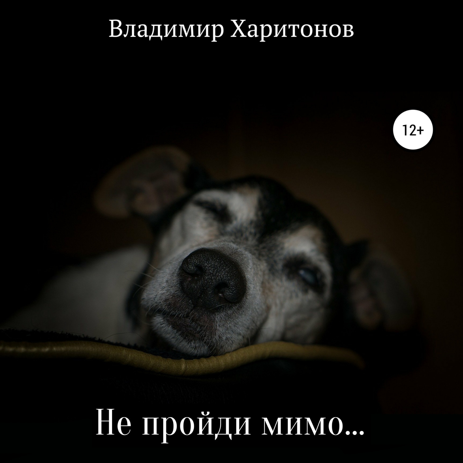 Обложка книги «Не пройди мимо…»