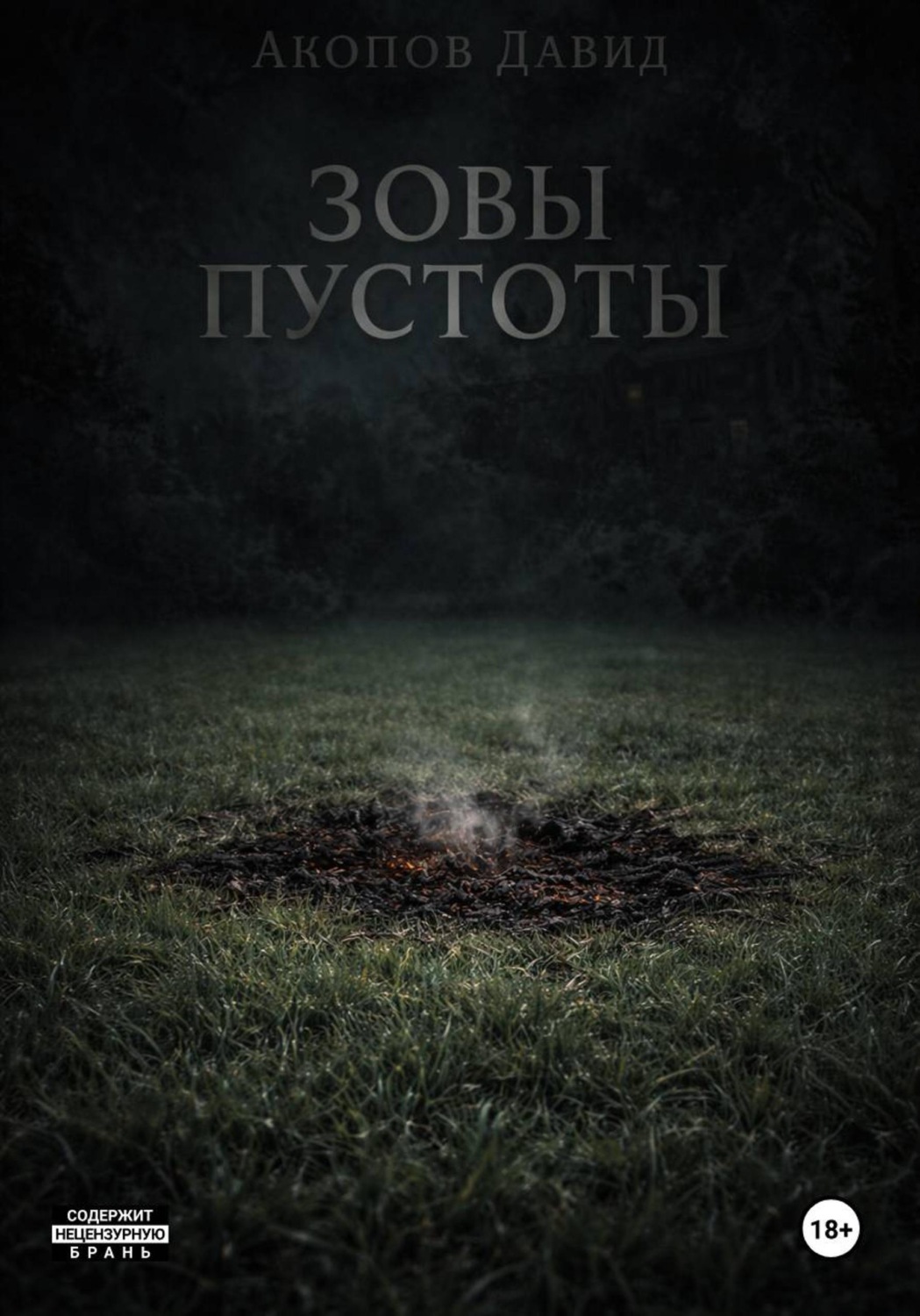 Обложка книги «Зовы пустоты»