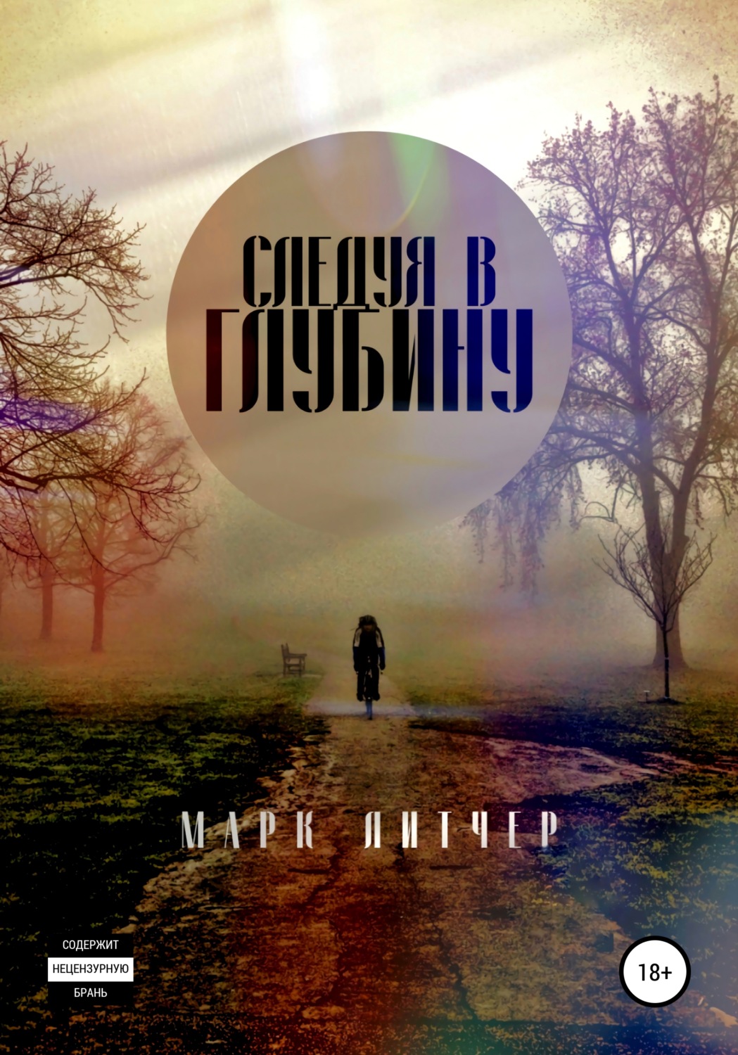 Обложка книги «Следуя в глубину»