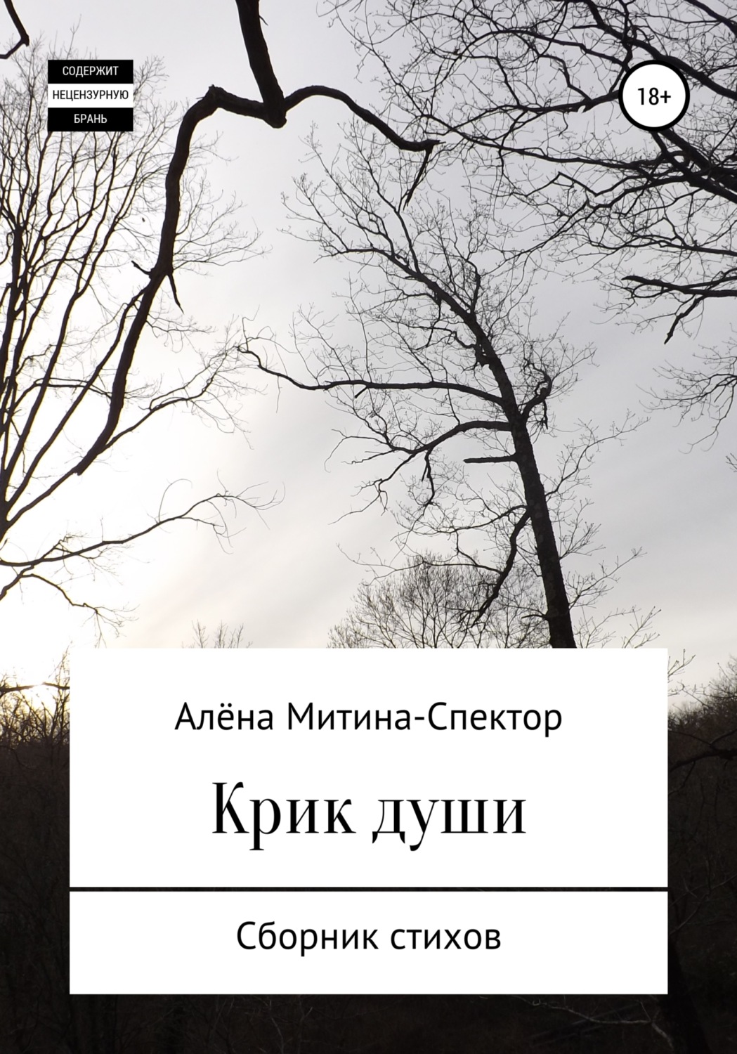 Обложка книги «Крик души»